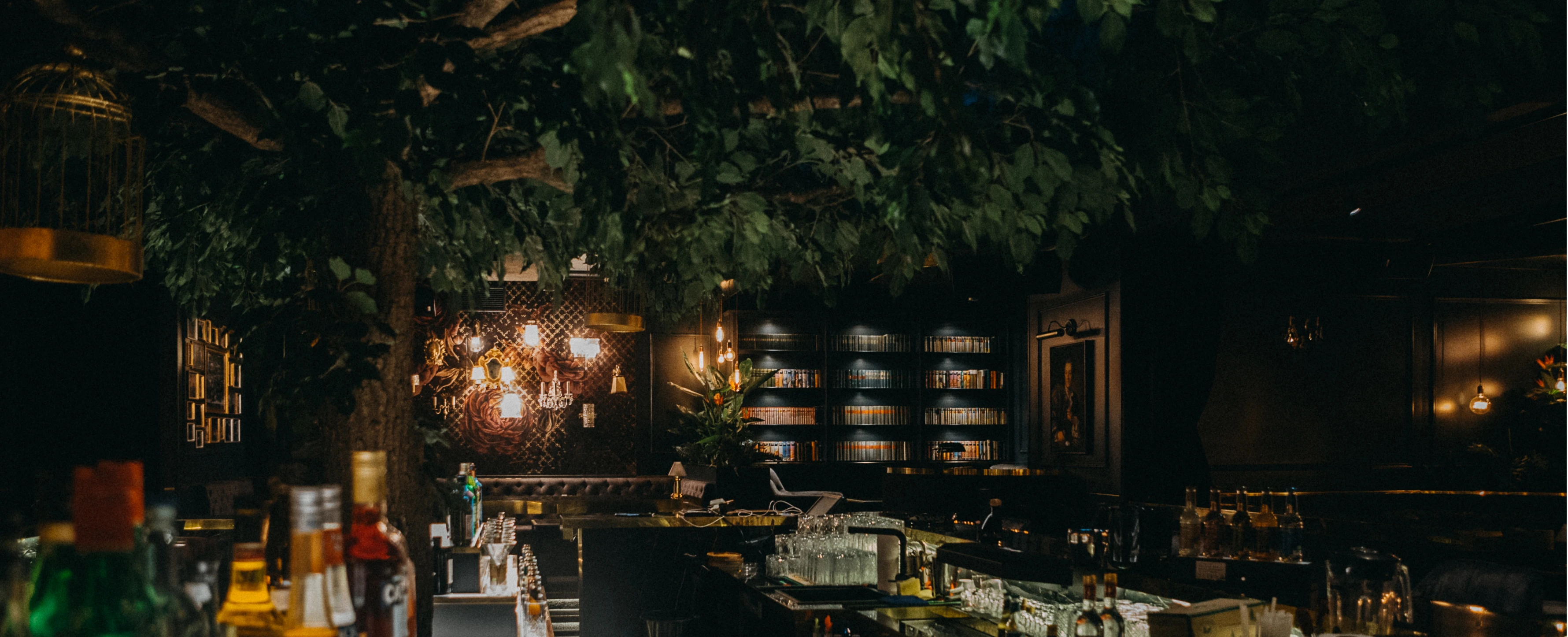 Bar oder Restaurant mit kreativer Inneneinrichtung mit Flaschen, Gläsern, Theke und Bibliothek.