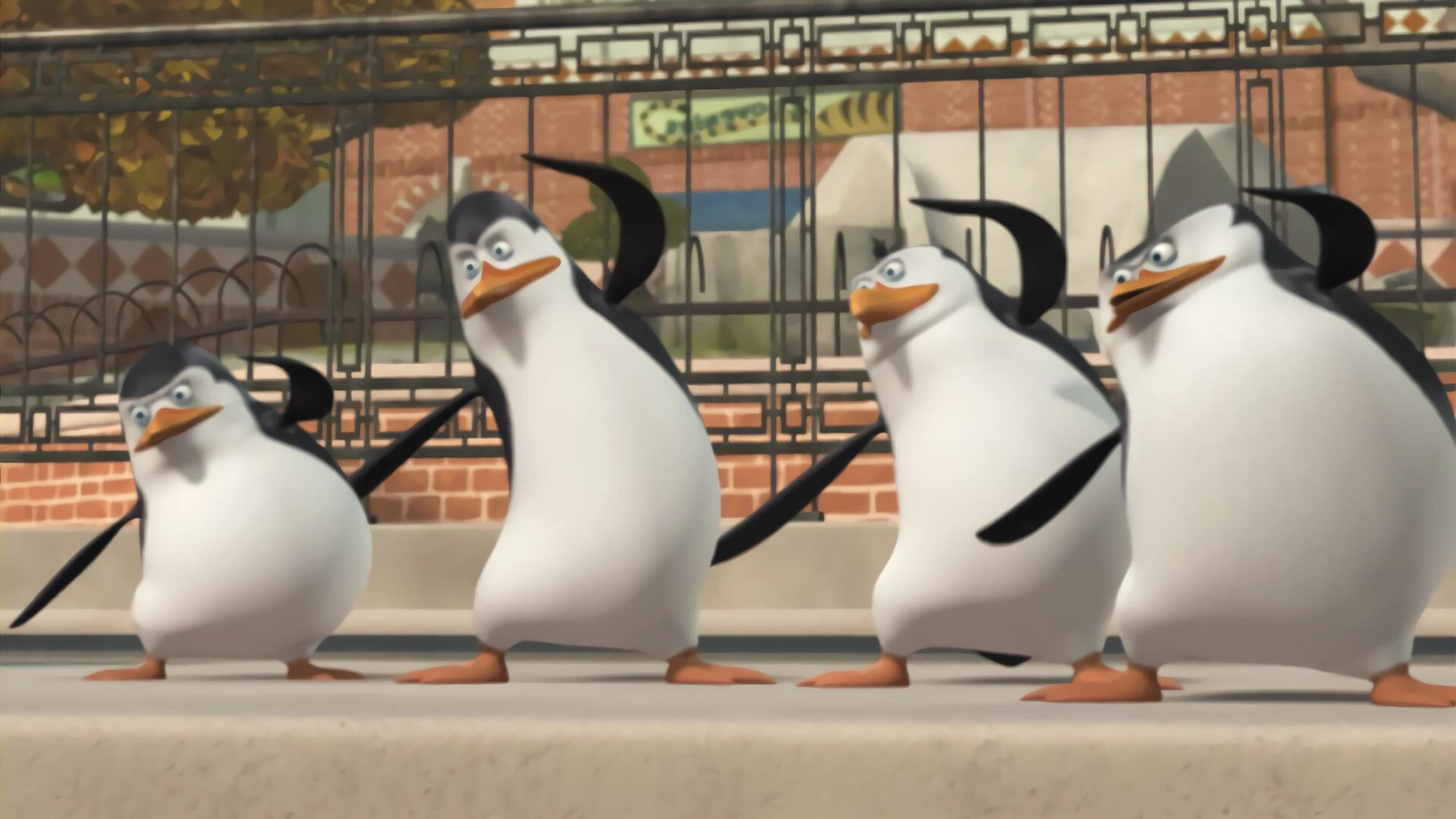 Die Pinguine aus Madagascar