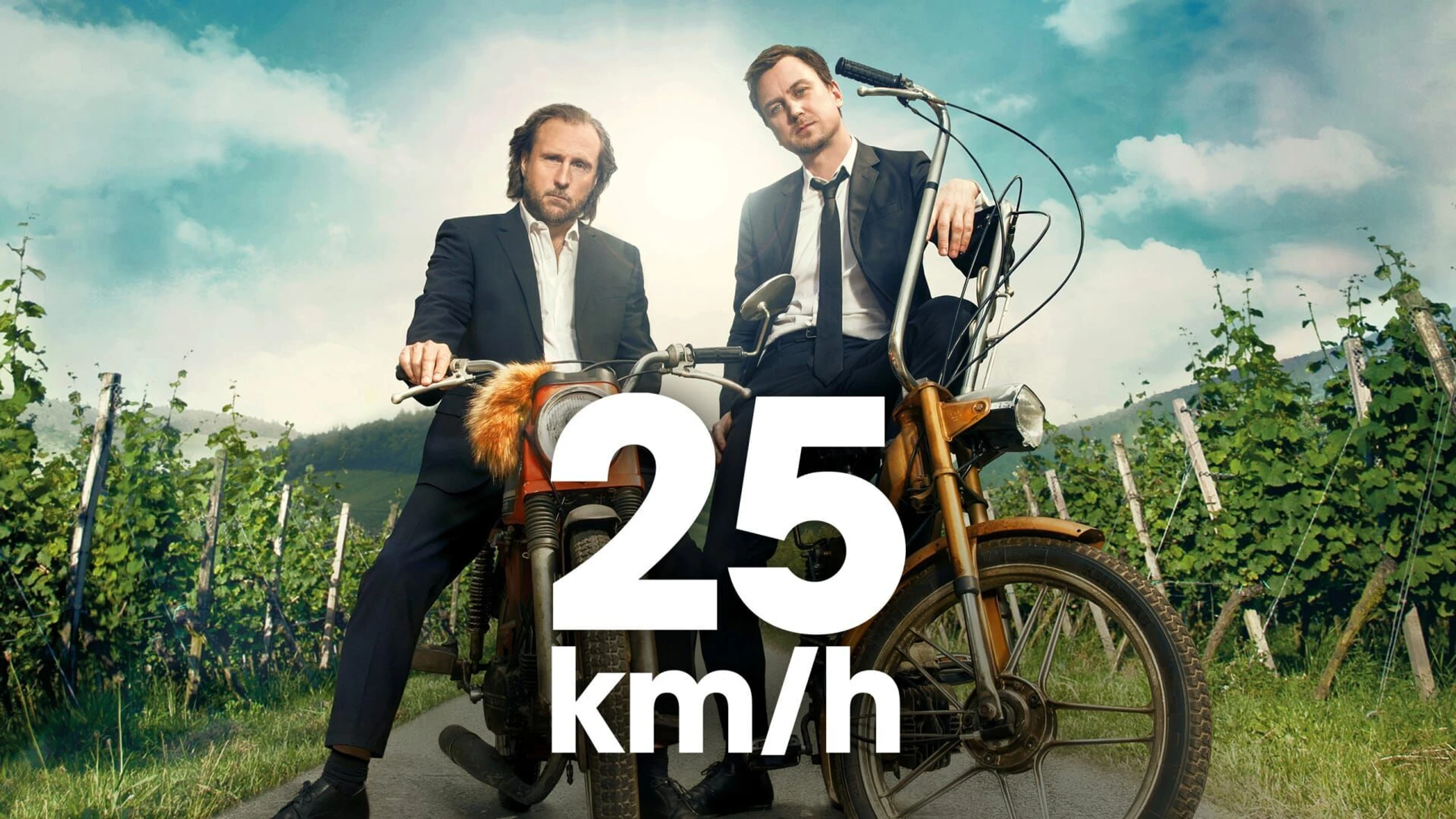 25 km/h