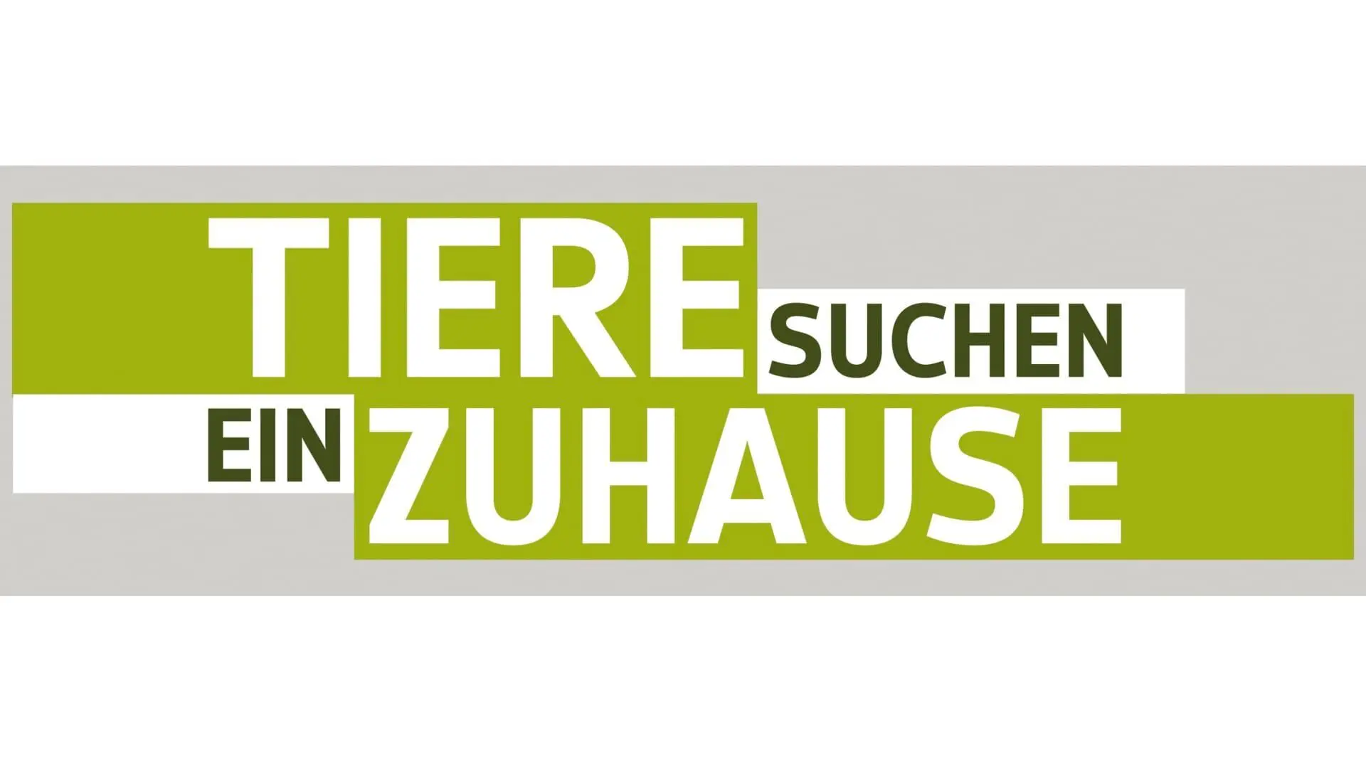 Tiere suchen ein Zuhause