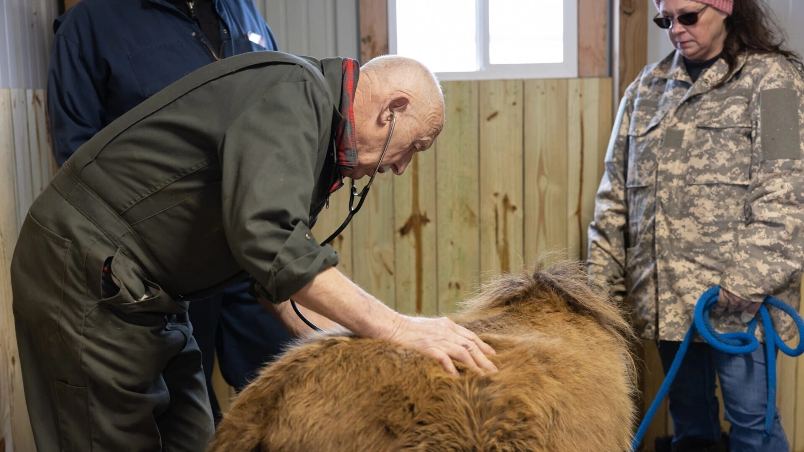 Der unglaubliche Dr. Pol