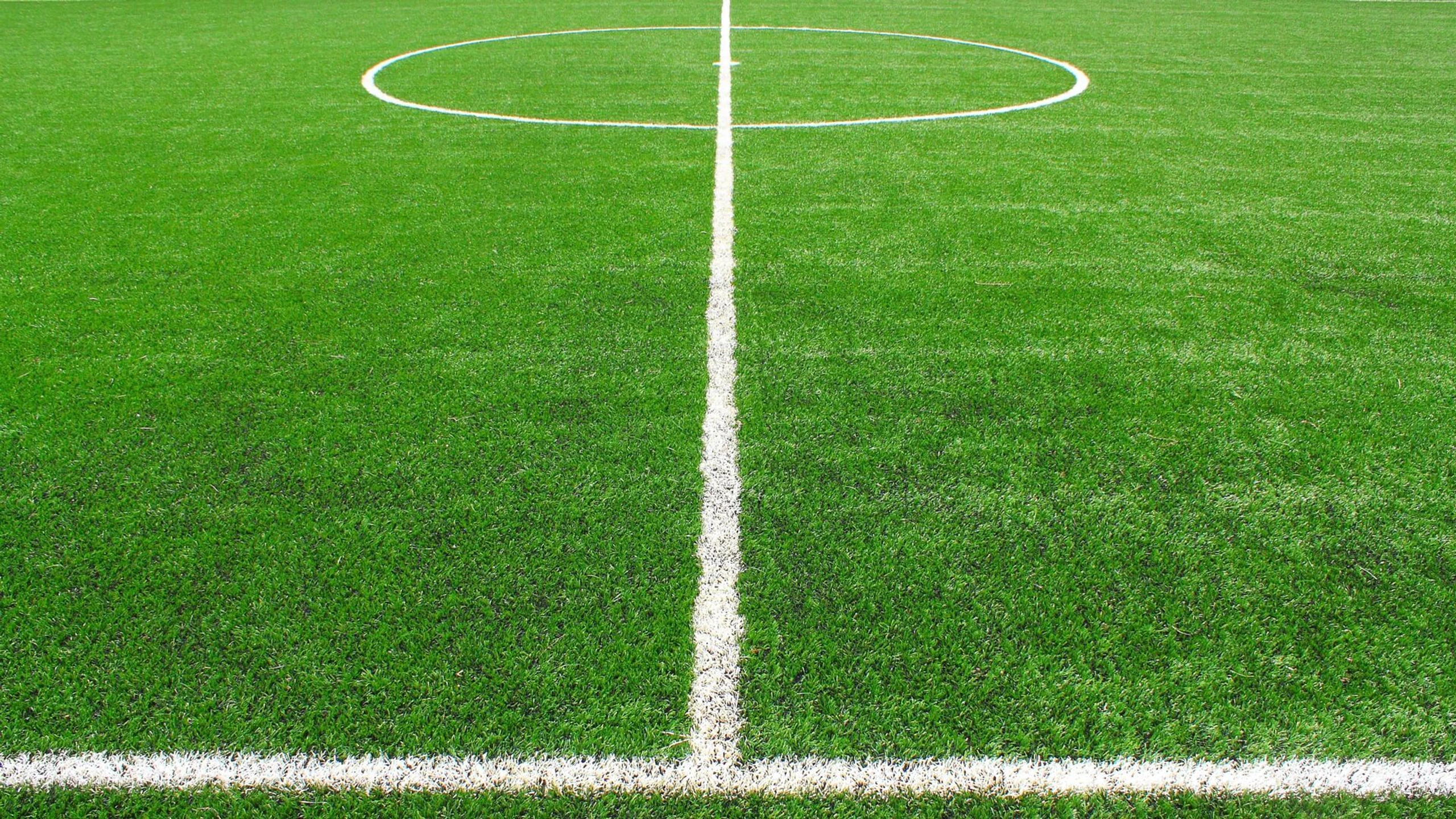 Fußball Live - Frauen-Bundesliga - Analyse