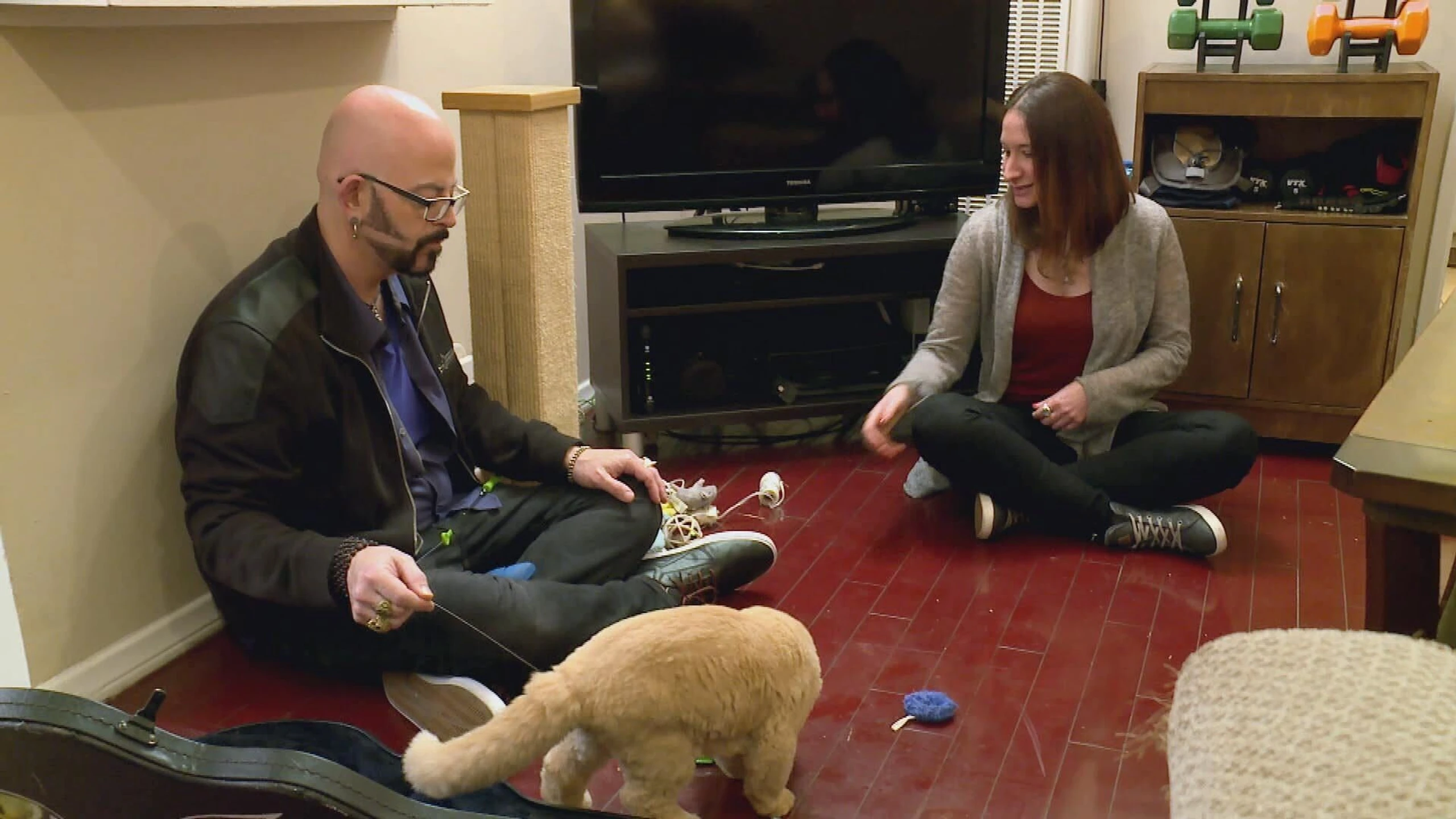 Der Katzenflüsterer