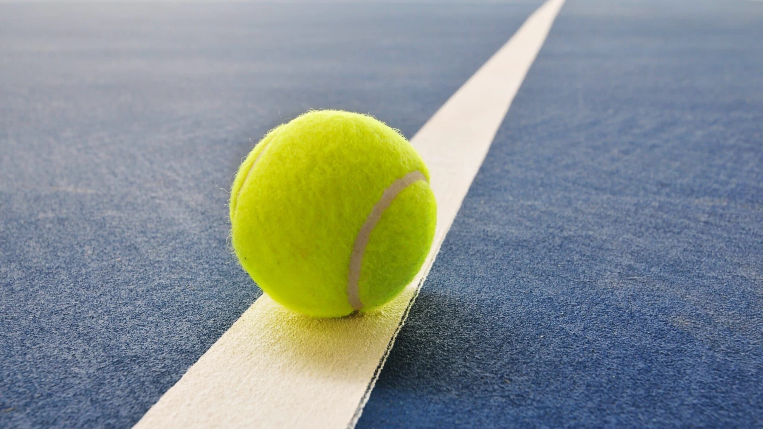 Erste Bank Open 2026