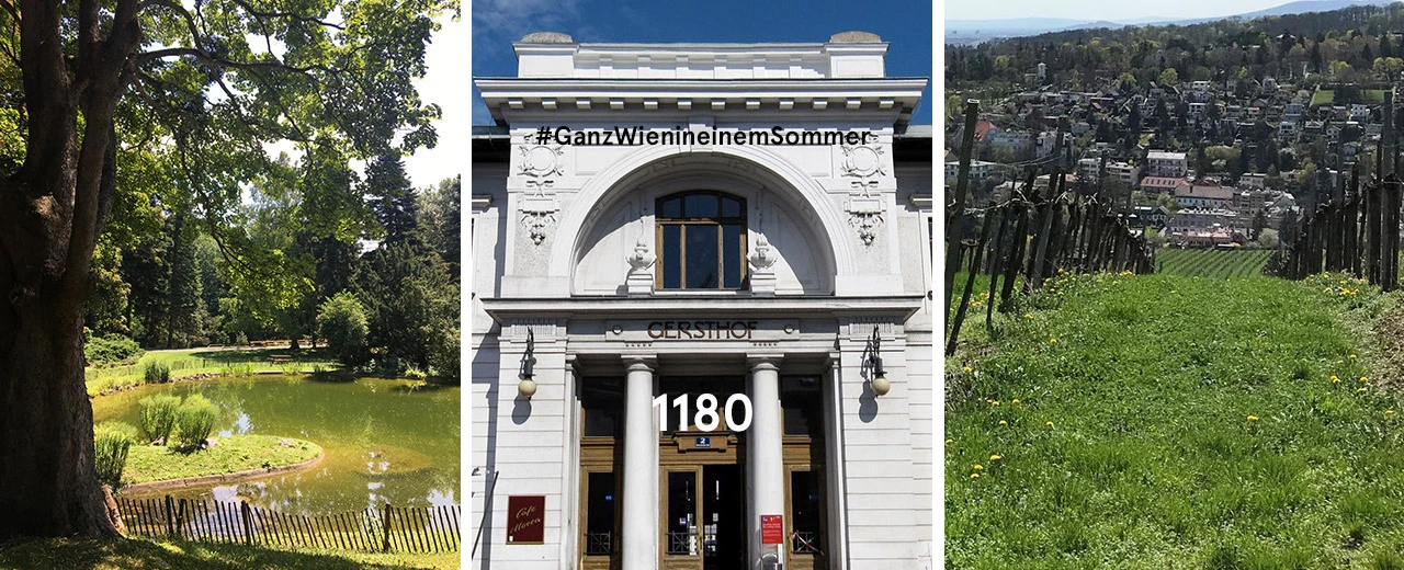 © Maximilian Kratochwill Drei Bilder zeigen einen Wiener Park, ein historisches Gebäude (Gersthof 1180) und einen Weinberg mit Blick auf die Stadt. #GanzWieninmeinemSommer