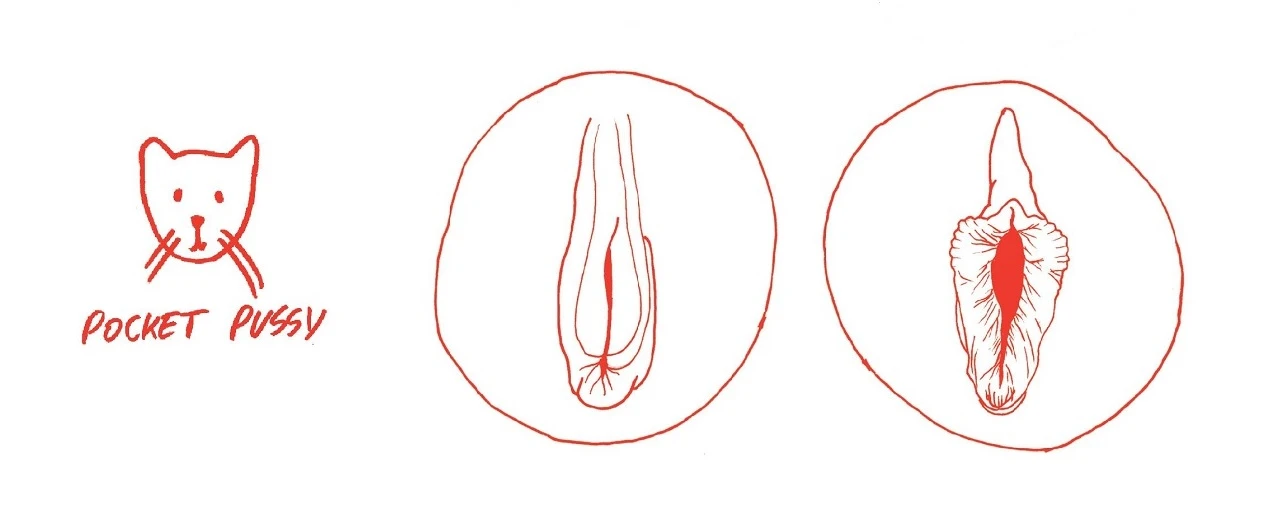 © Clara Berlinski Zeichnung Katze, 'Pocket Pussy', schematische Zeichnungen weibliche Genitalien.