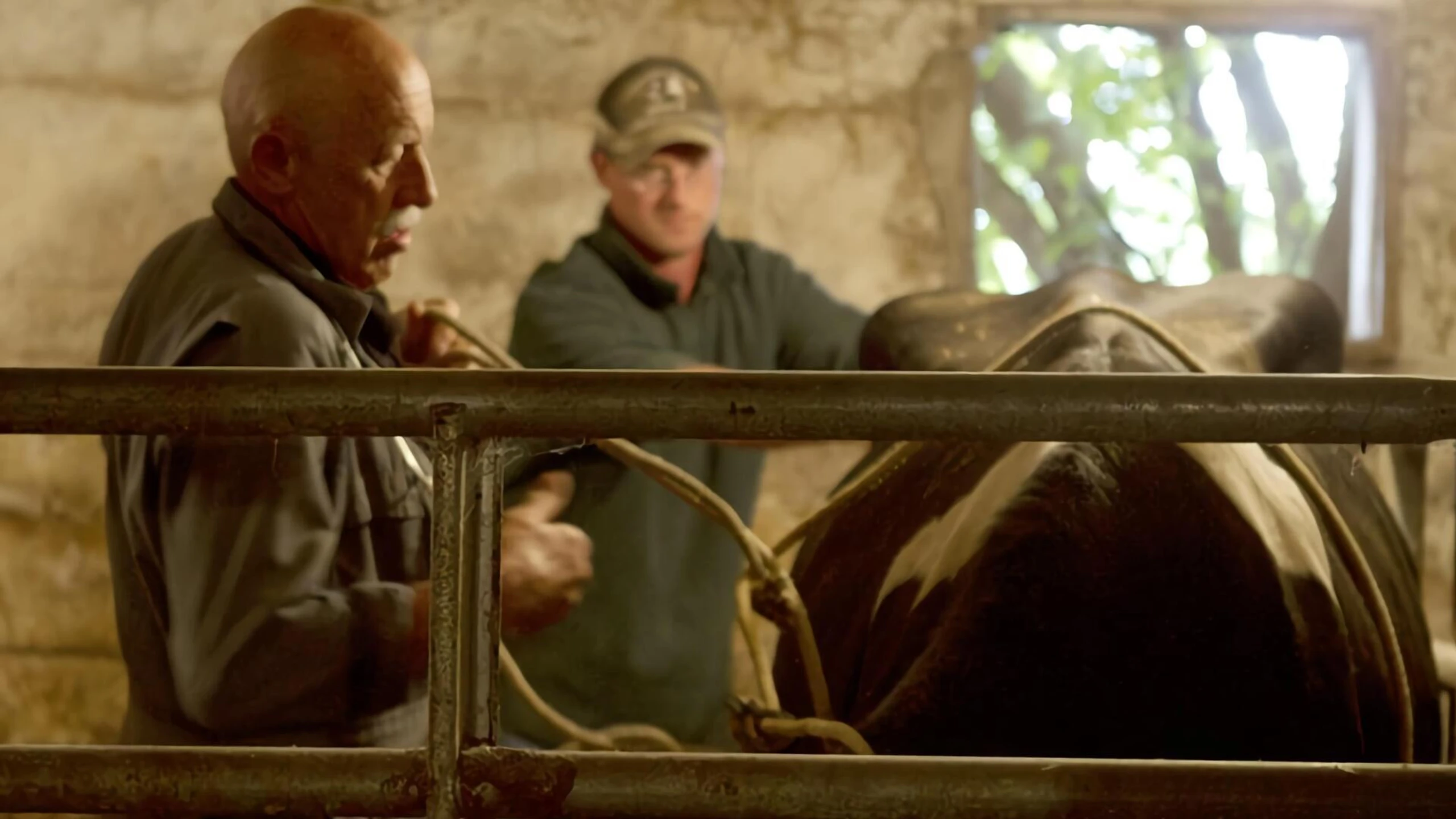 Der unglaubliche Dr. Pol