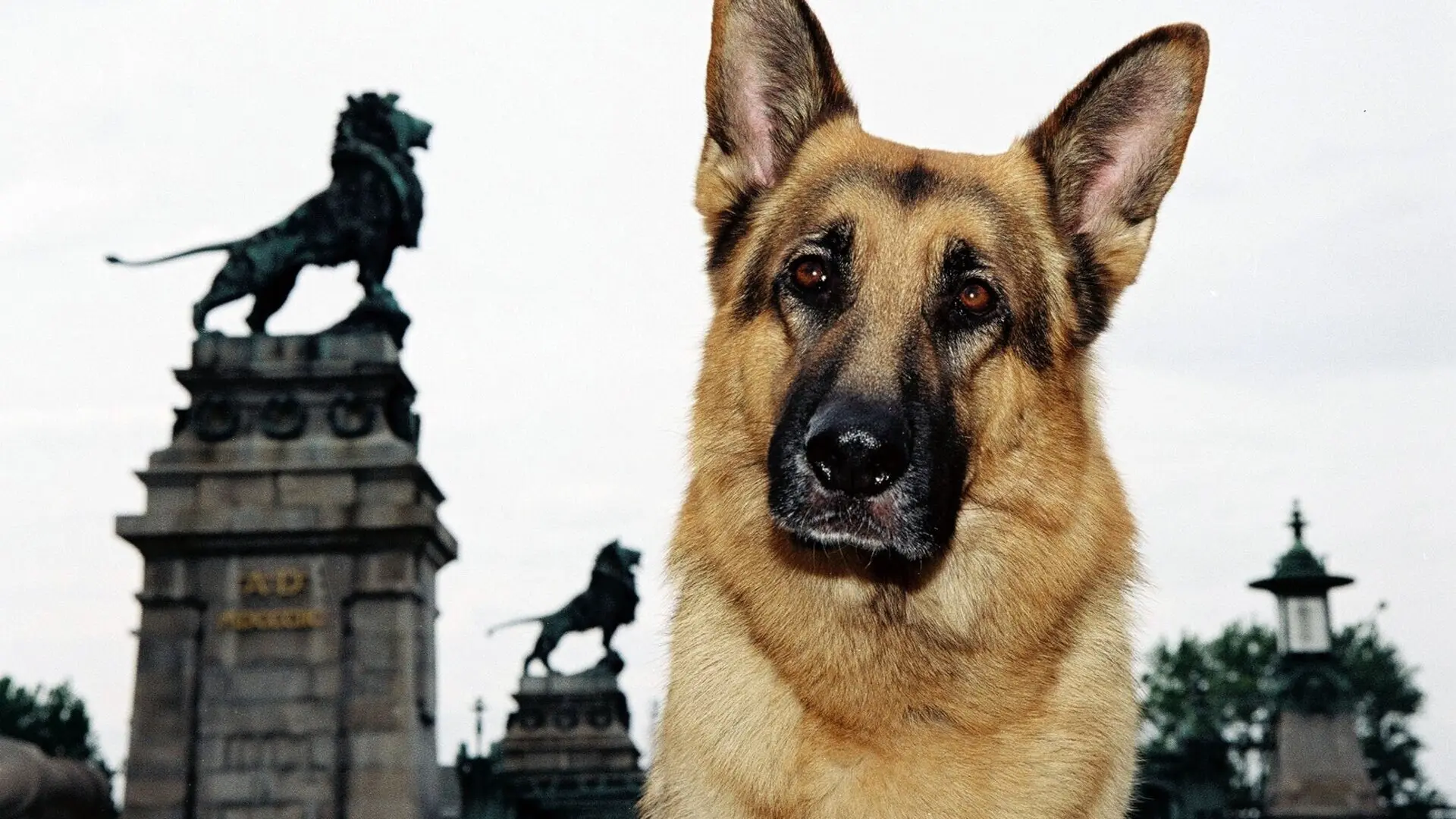 Kommissar Rex