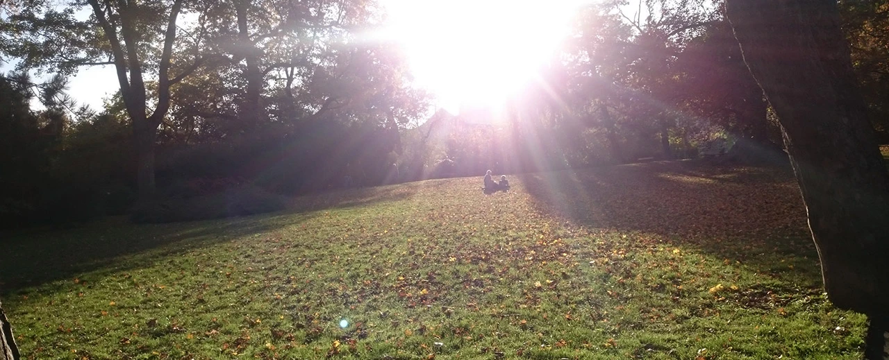 Zwei Personen sitzen auf einer herbstlichen Wiese im Sonnenschein. Bäume und Blätter im Hintergrund.