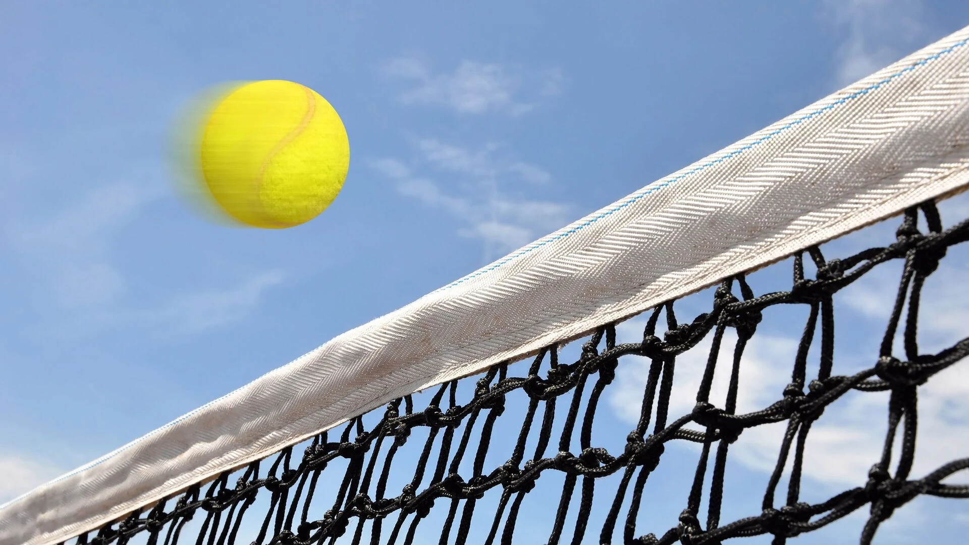 Tennis: ATP & WTA