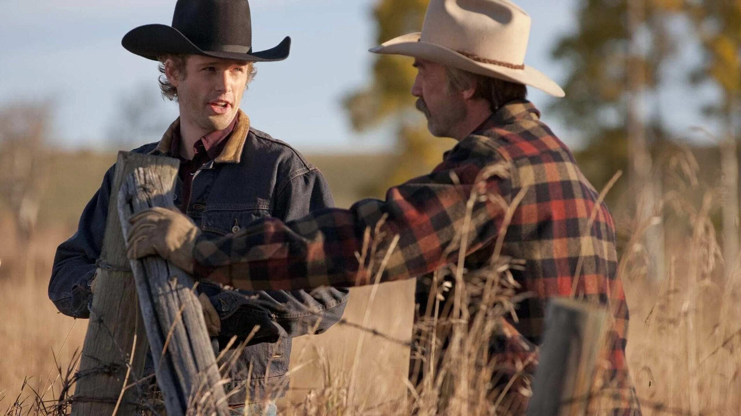 Heartland - Paradies für Pferde