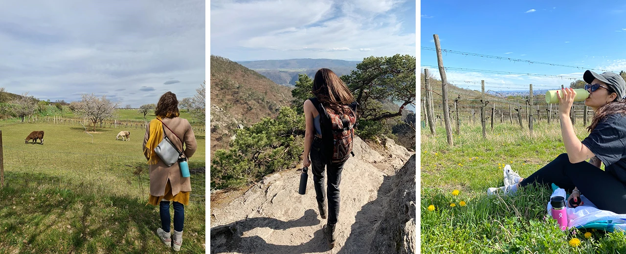 Drei Bilder: Wanderung, Landschaft, Weinberg. Person wandert, genießt Aussicht und entspannt sich.