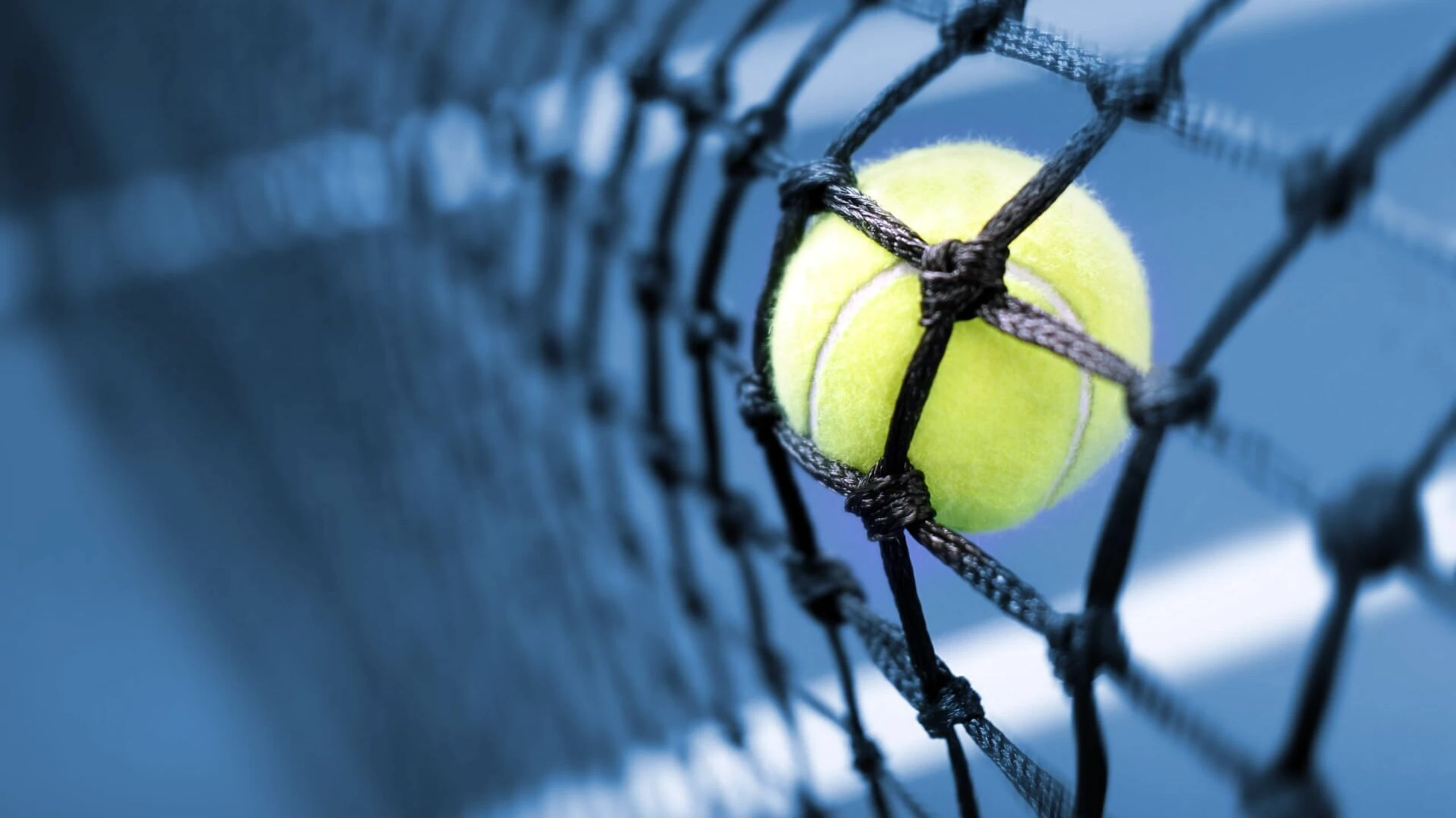 Tennis: ATP 250