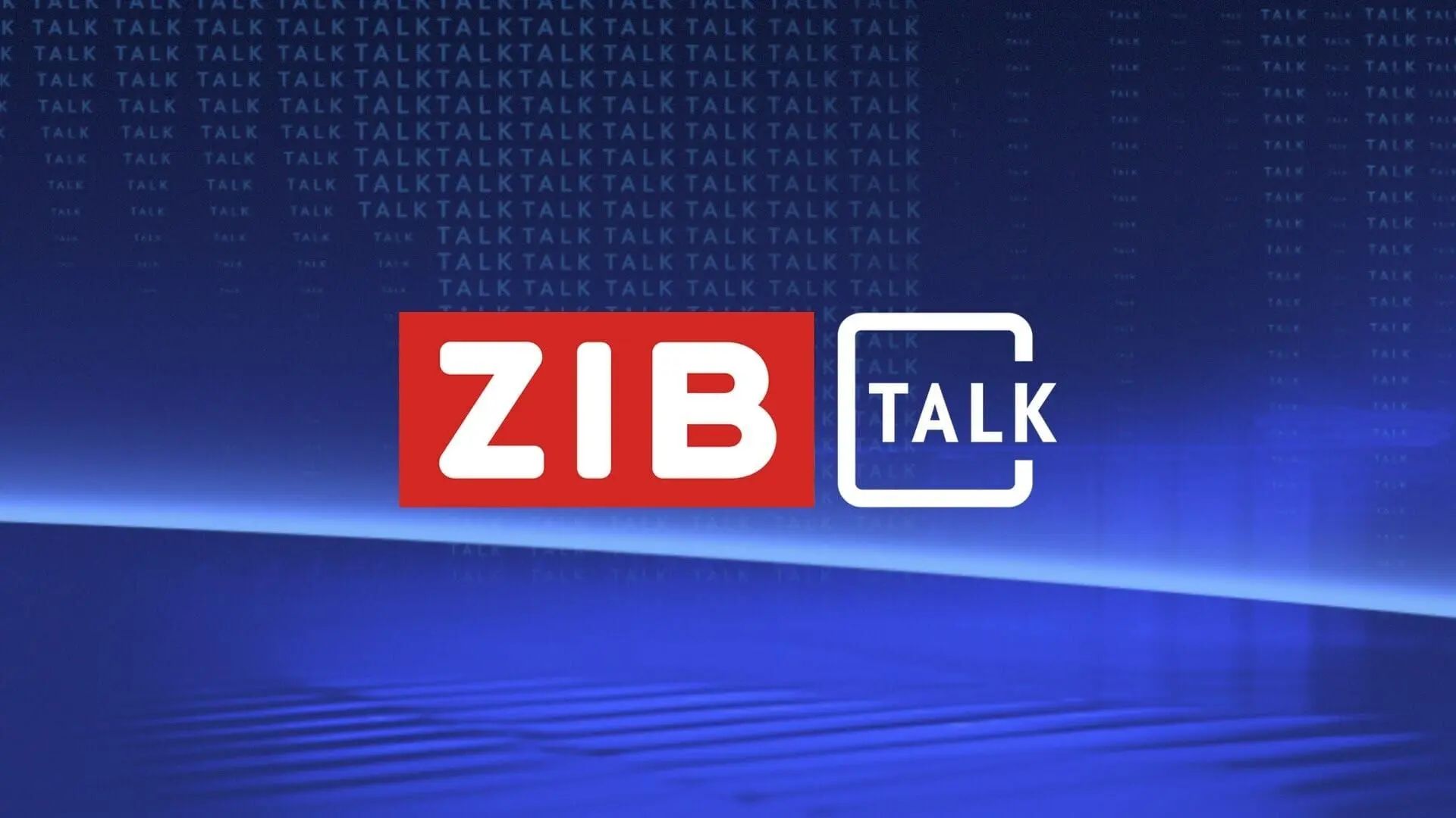 ZIB Talk