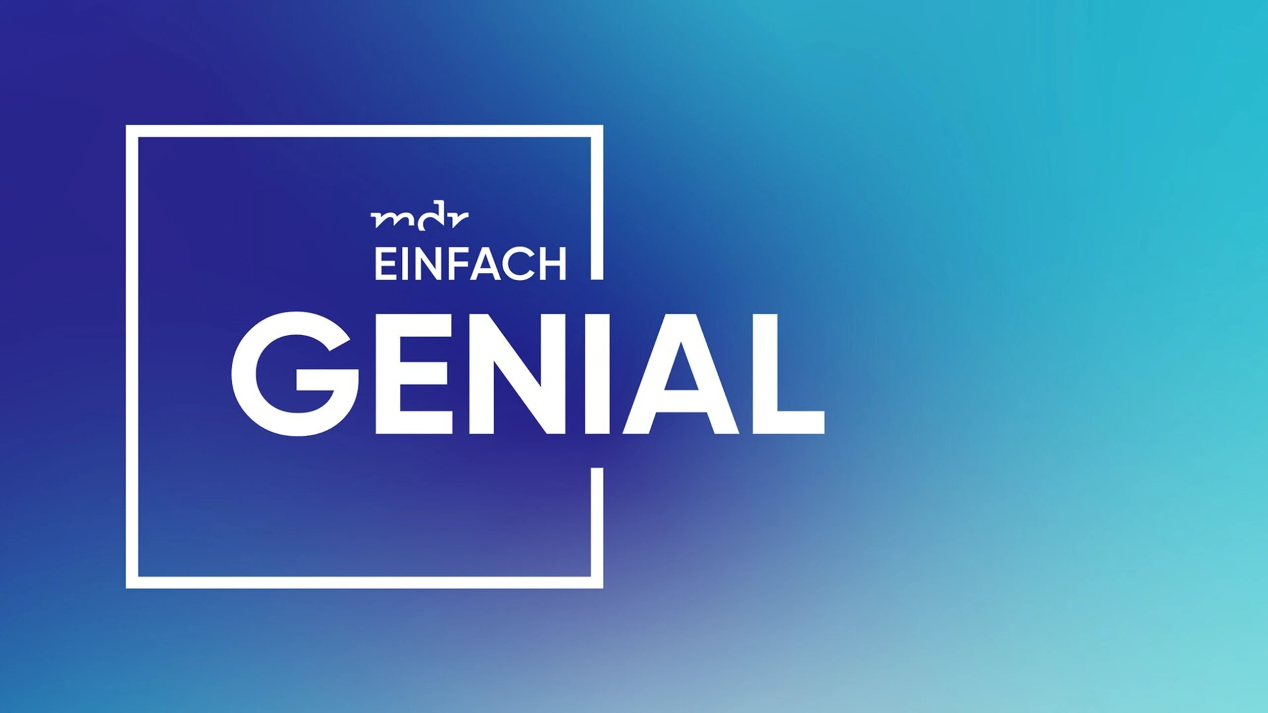 Einfach genial