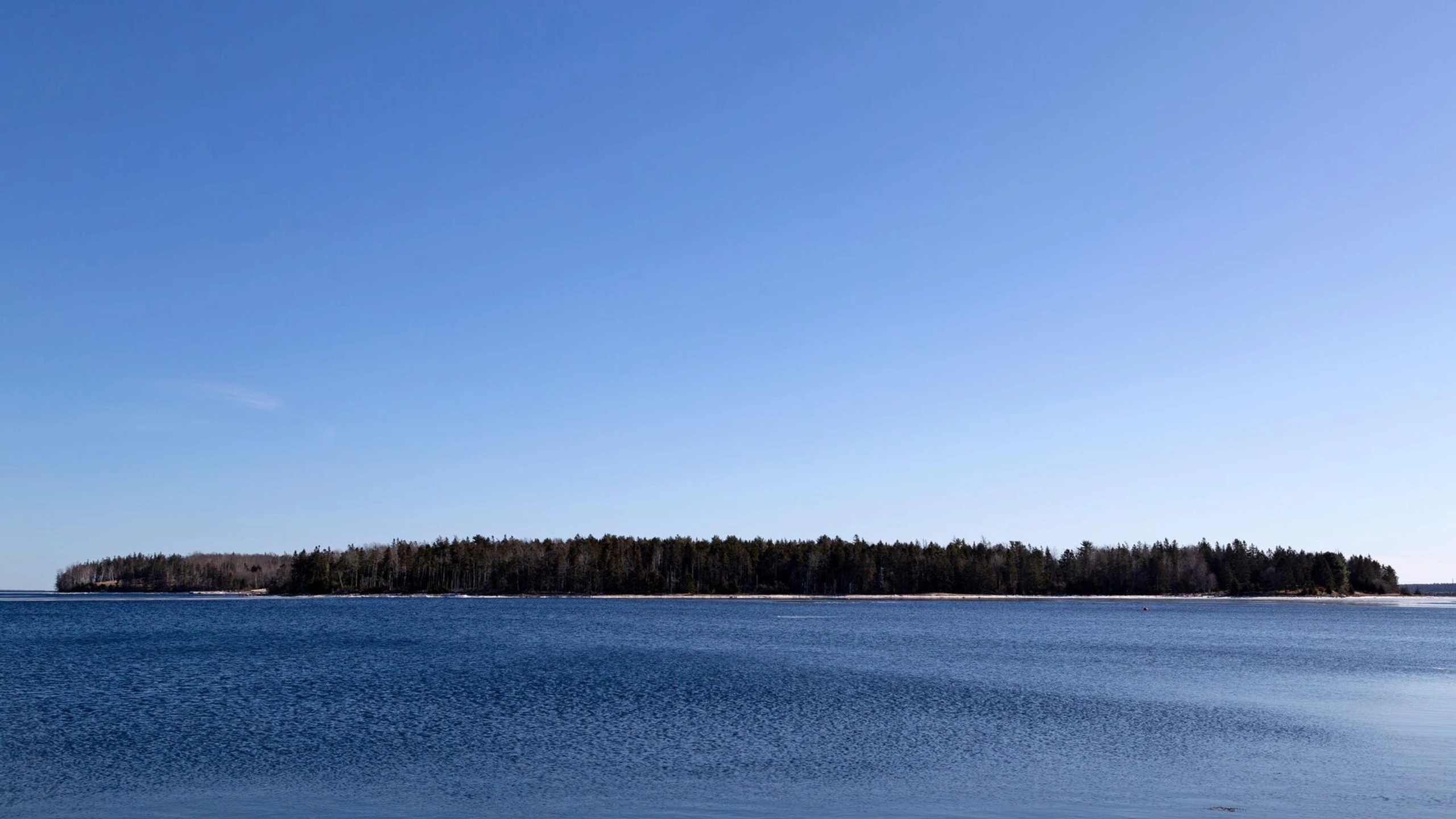 Die Schatzsucher von Oak Island