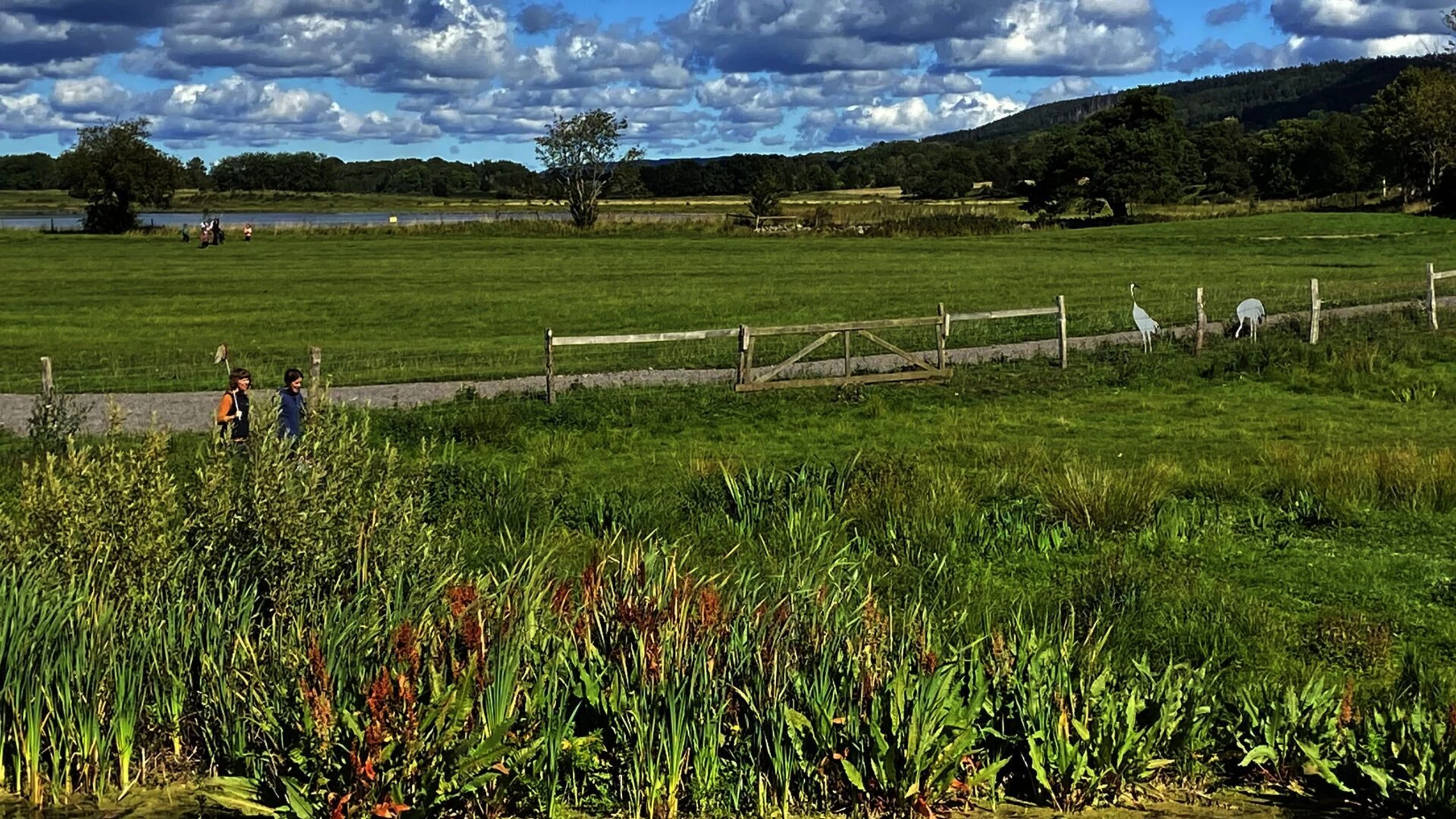 Draußen! Mit Uschi Disl durch Westschweden