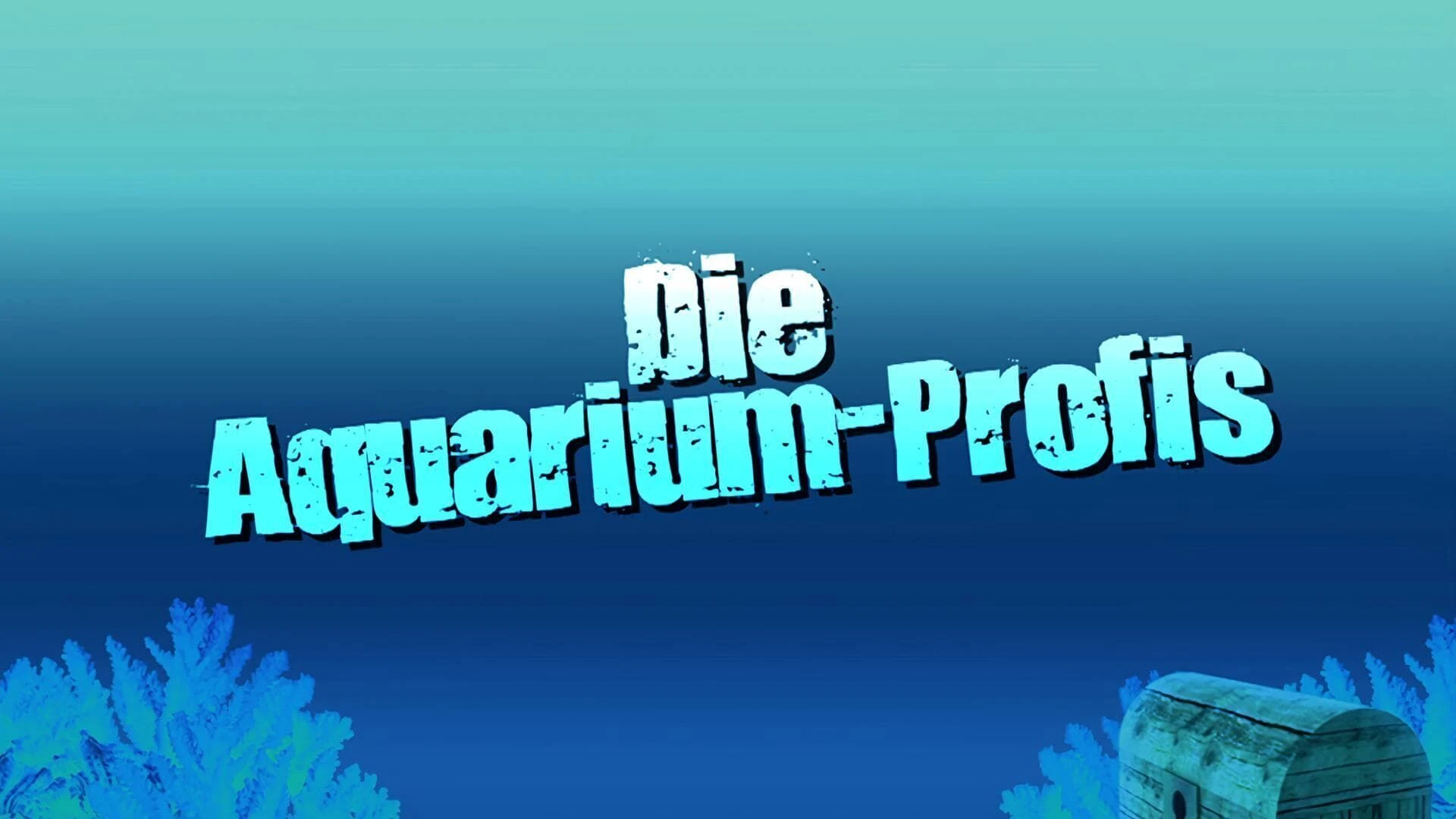 Die Aquarium-Profis