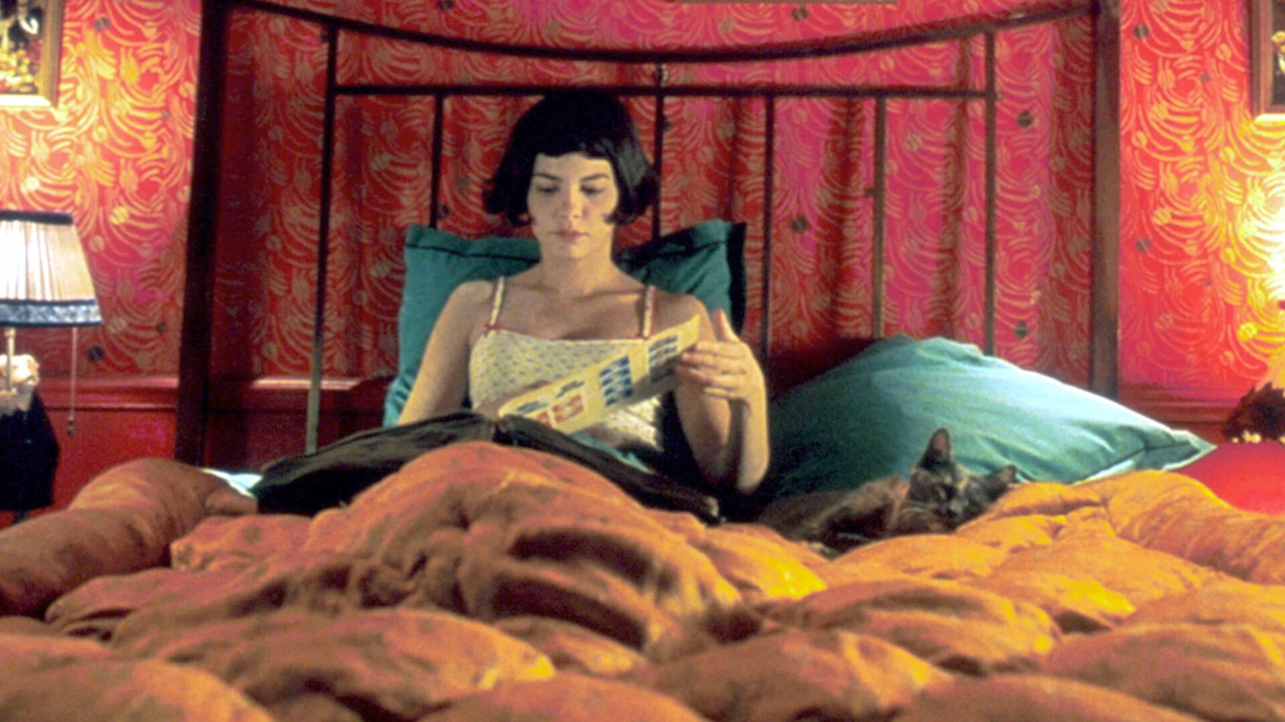 Die fabelhafte Welt der Amélie