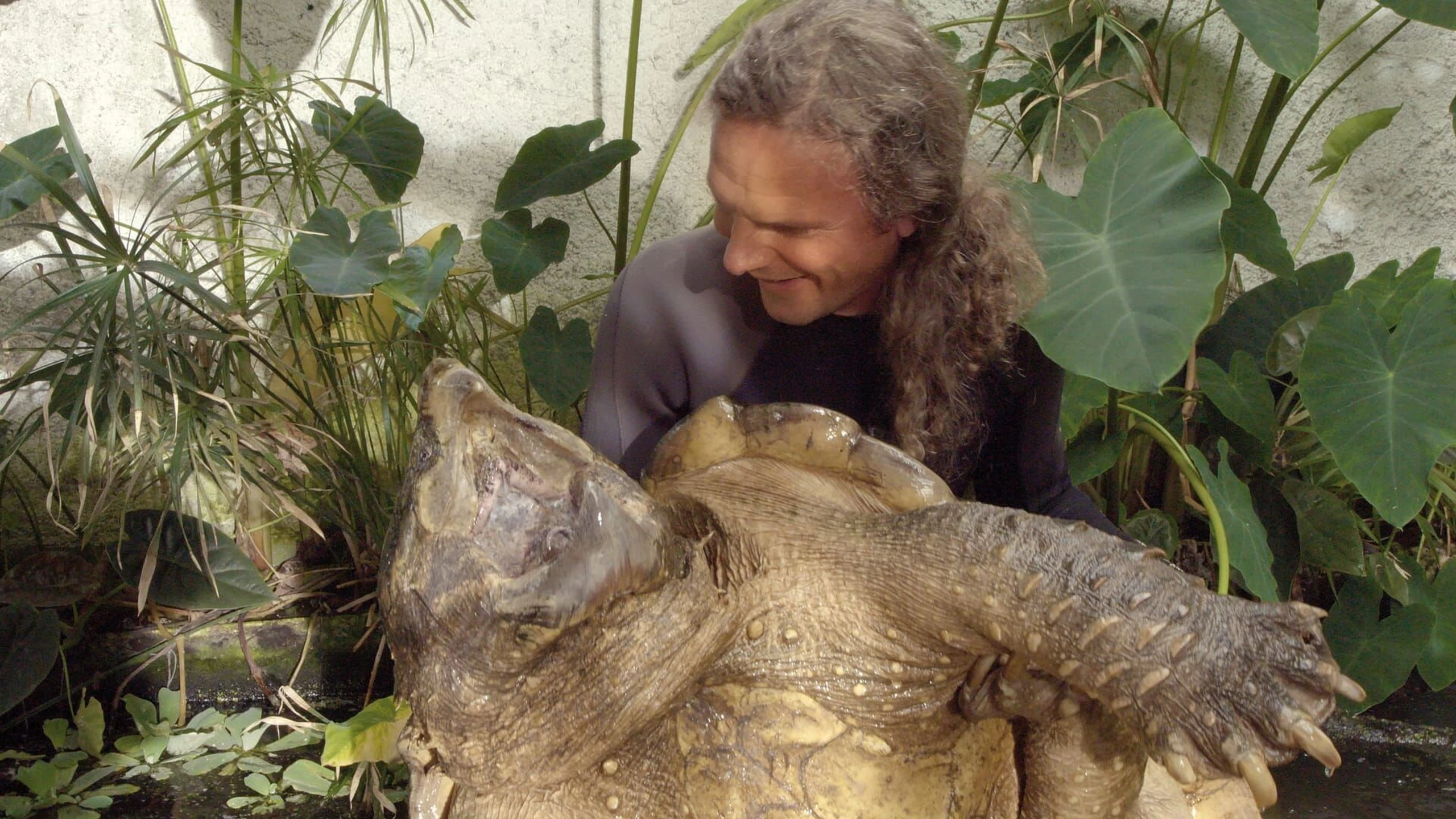 Turtle Hero - Ein Leben für die Schildkröten