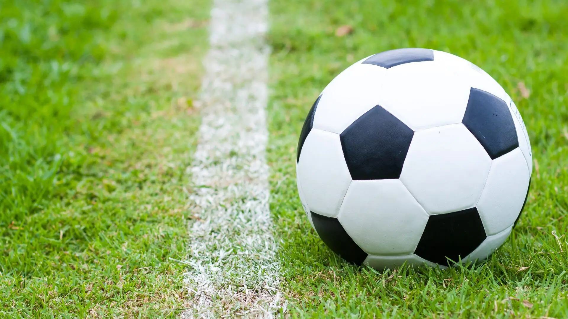 UNIQA ÖFB Cup 2024/2025 Finale: RZ Pellets Wolfsberg - Egger Glas Hartberg