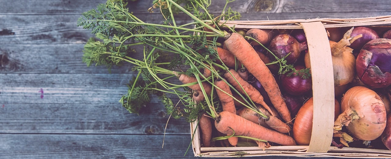 Karotten & Zwiebeln in Holzkorb auf Holztisch. Frisches Gemüse.