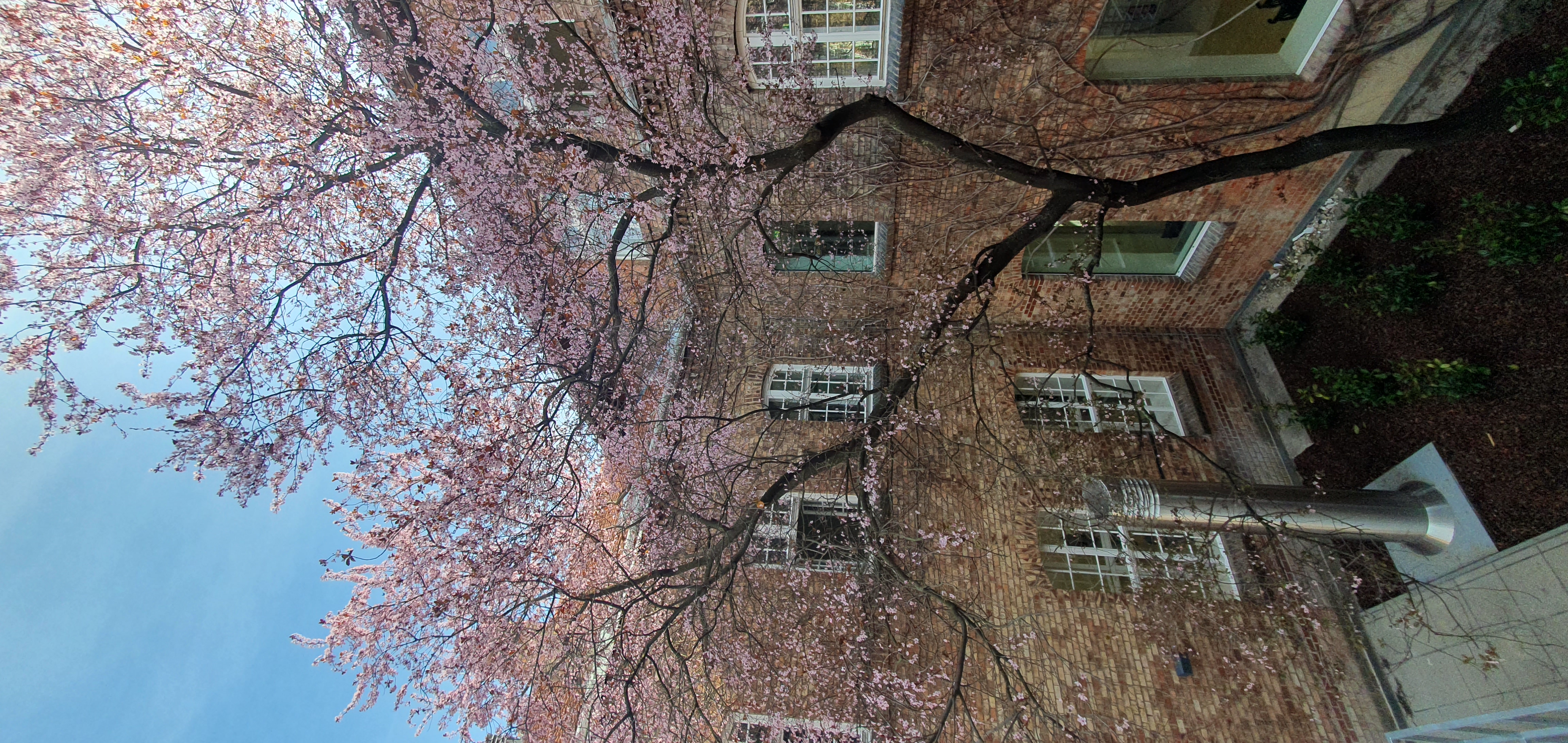Frühlingsausblick im Wintergarten