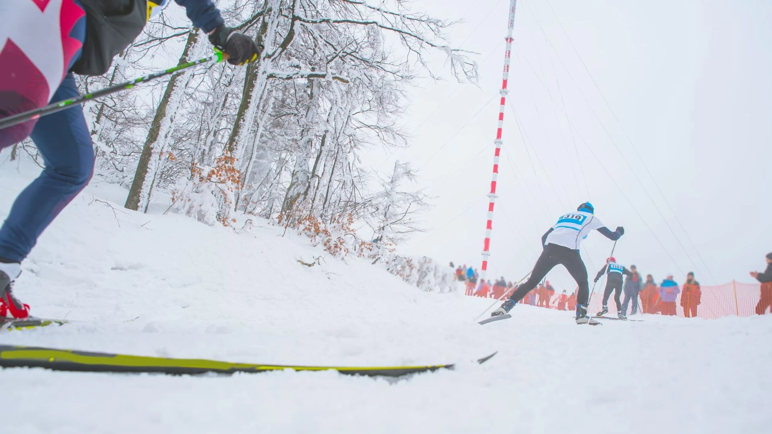 FIS Nordische Kombination Weltcup Damen Trondheim