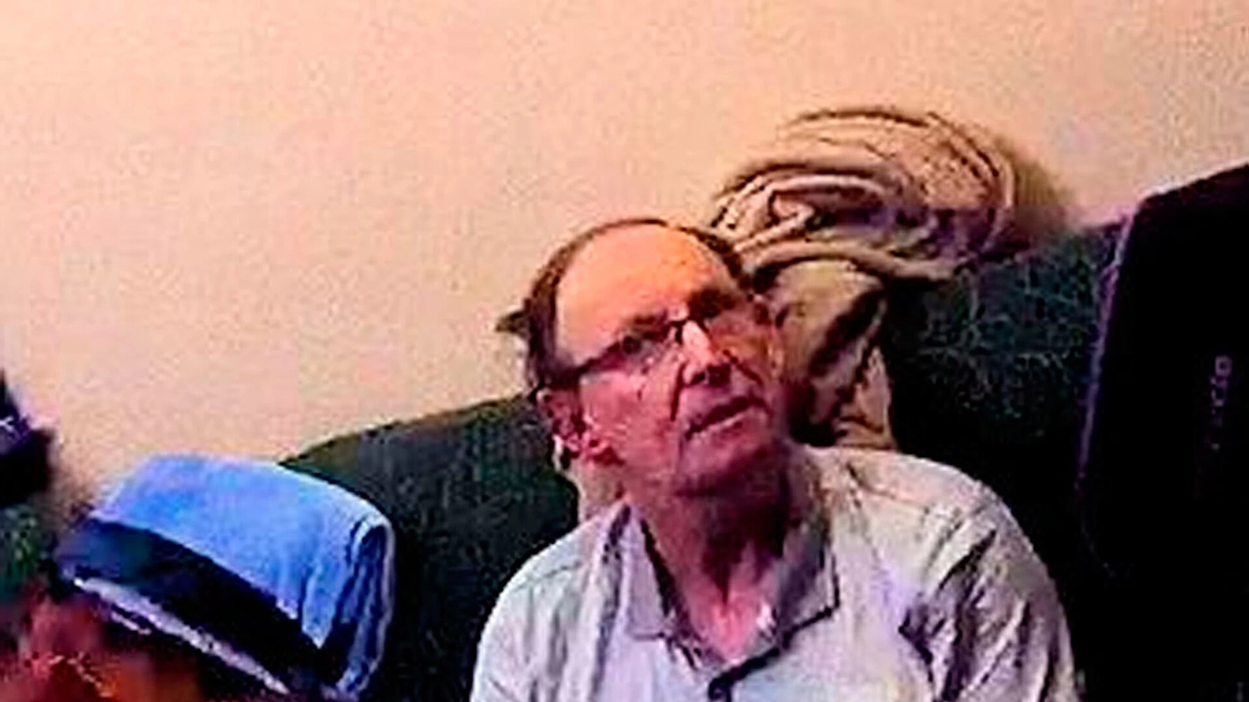 David Fuller - Das Monster in der Leichenhalle