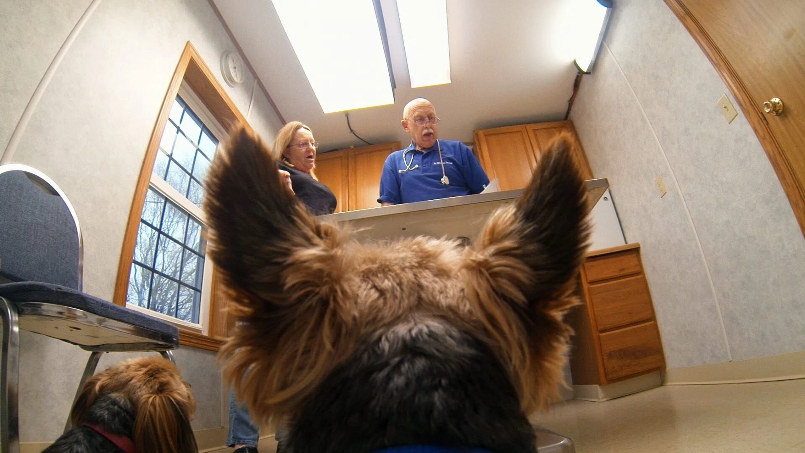 Der unglaubliche Dr. Pol