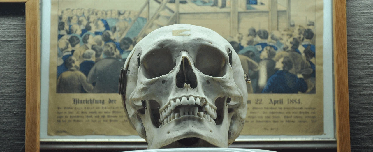 Menschlicher Schädel vor einem historischen Bild, datiert 22. April 1884. Ausgestellt in einem Museum?