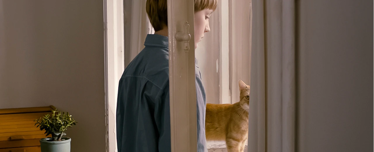© Alexander Haßkerl Junge und Katze am Fenster.  Mit Adobe Photoshop erstellt.