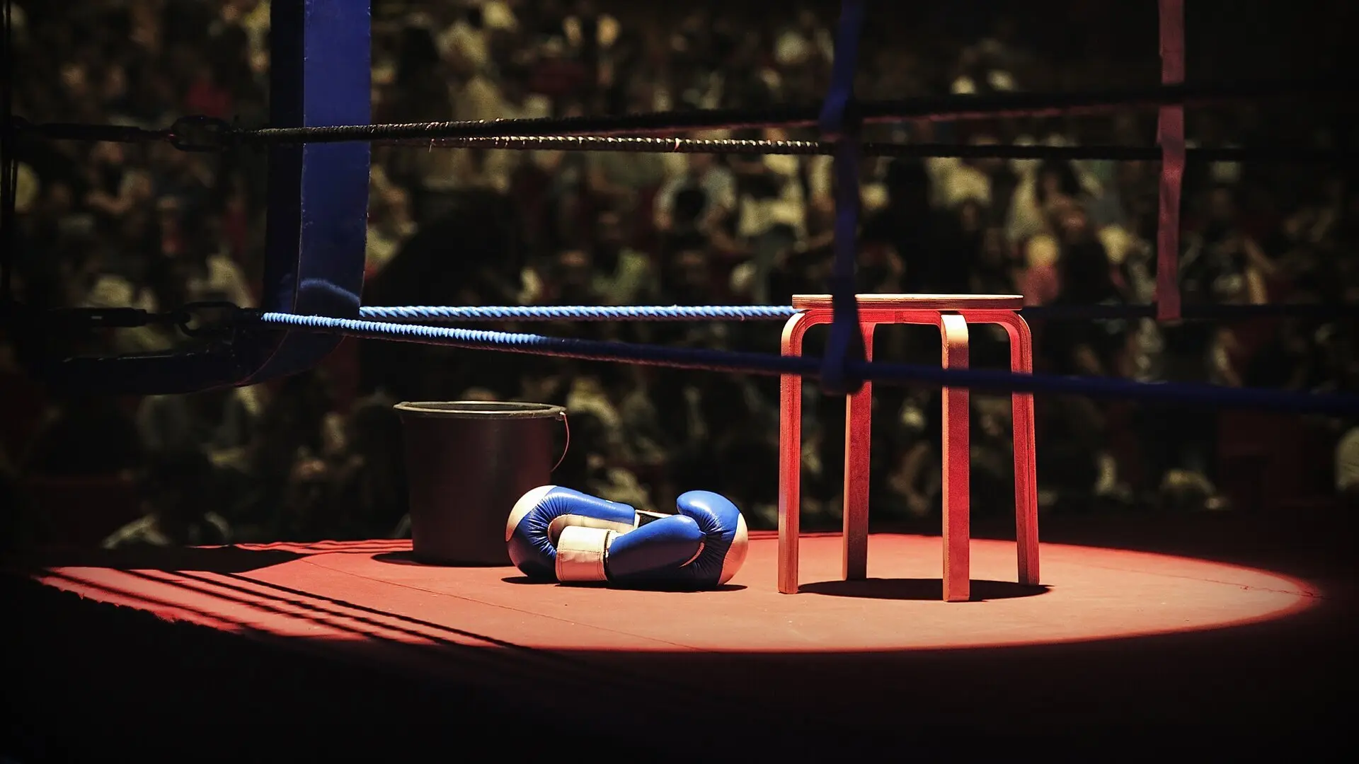 Boxen "Boxing in the Ballroom", Highlights aus Wien