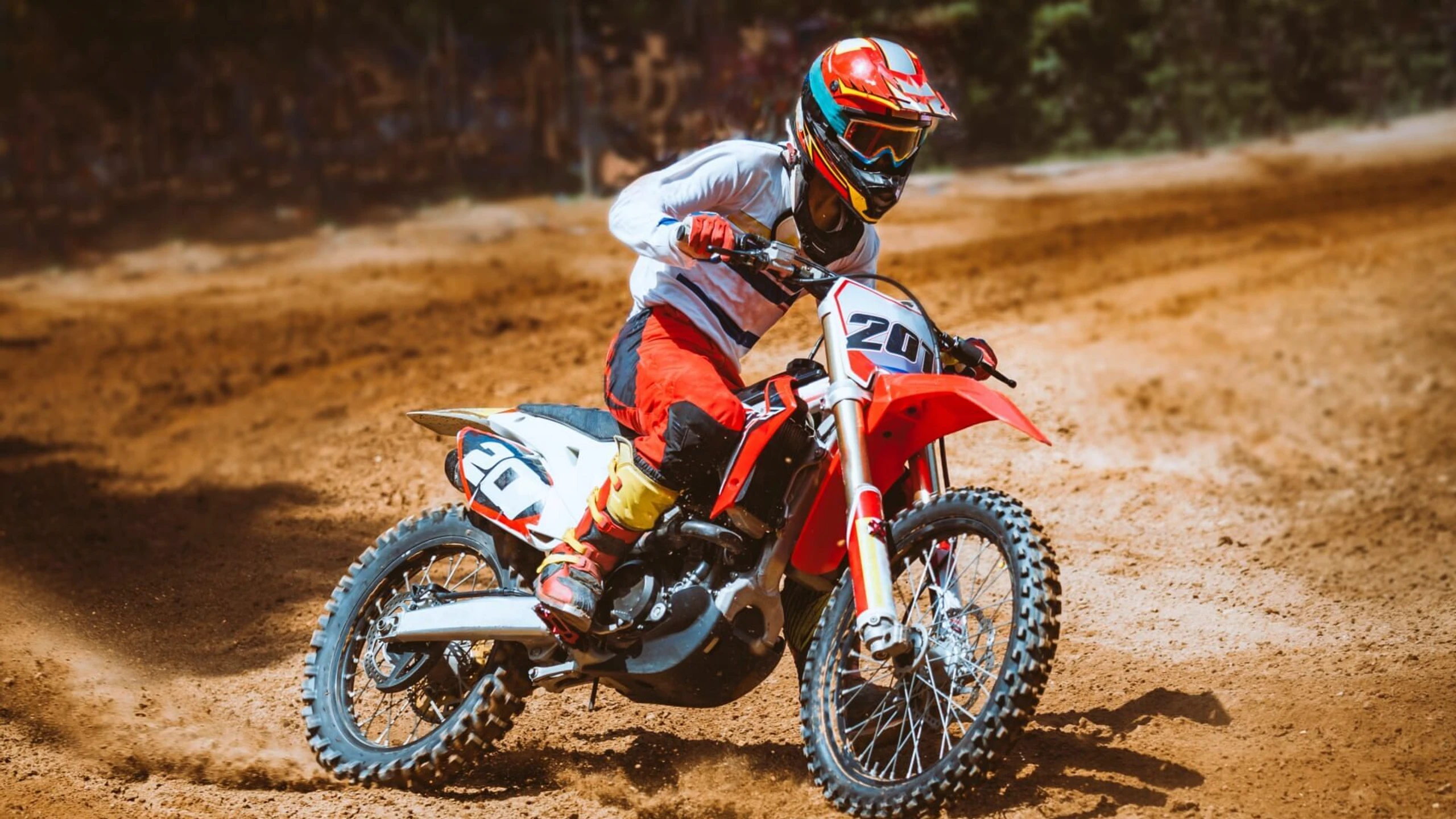 Motocross: FIM-Weltmeisterschaft