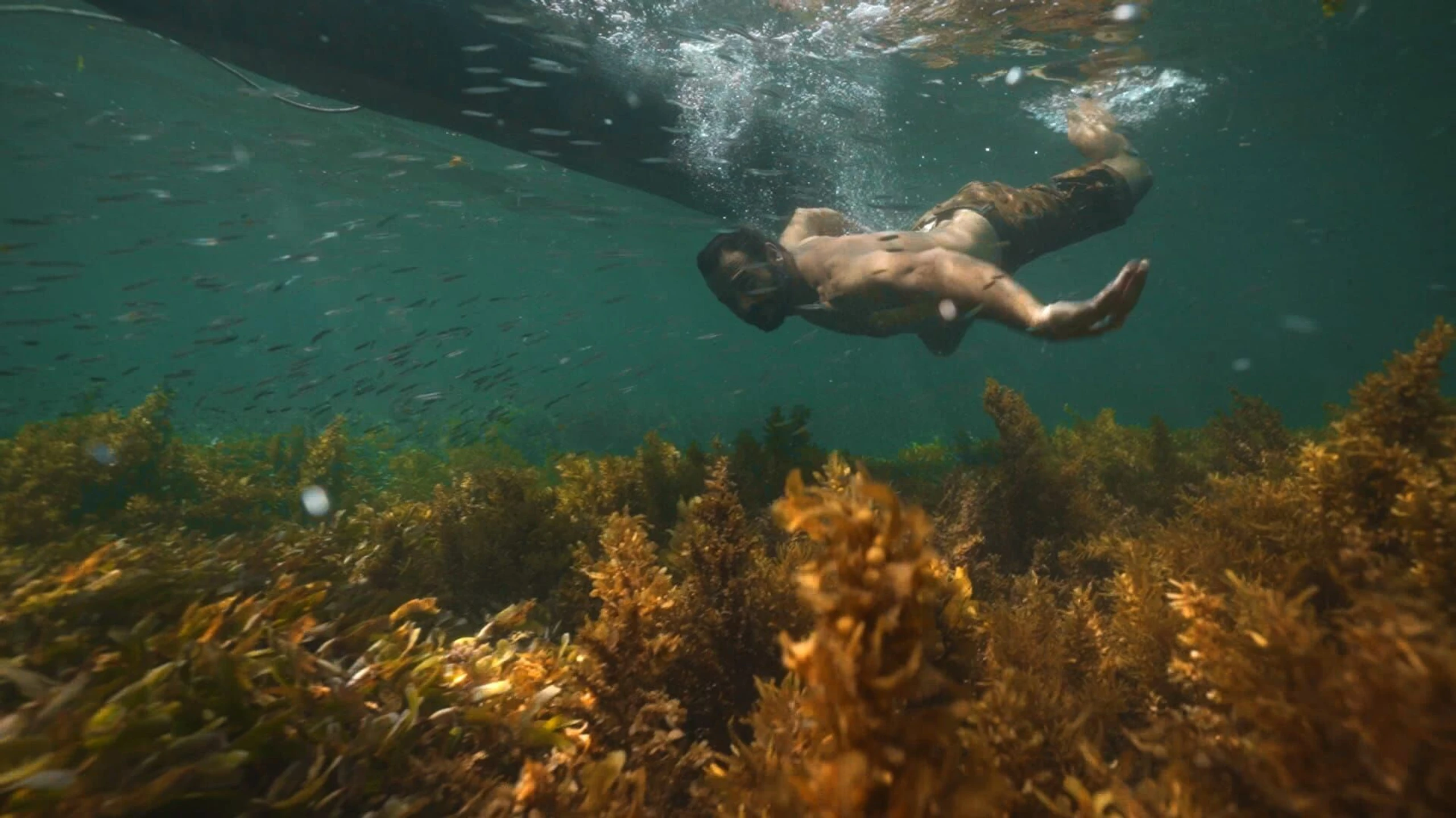 Extreme Survival mit Hazen Audel: Safari durch das Rift Valley