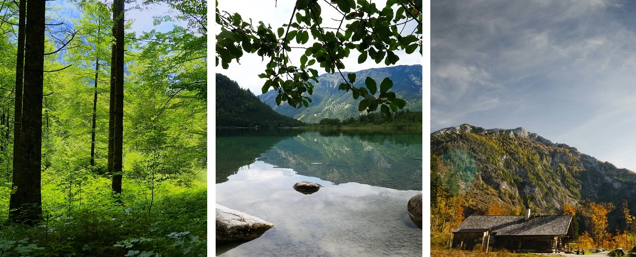 Drei Bilder: dichter Wald, Bergsee mit Spiegelung, Almhütte in den Bergen.