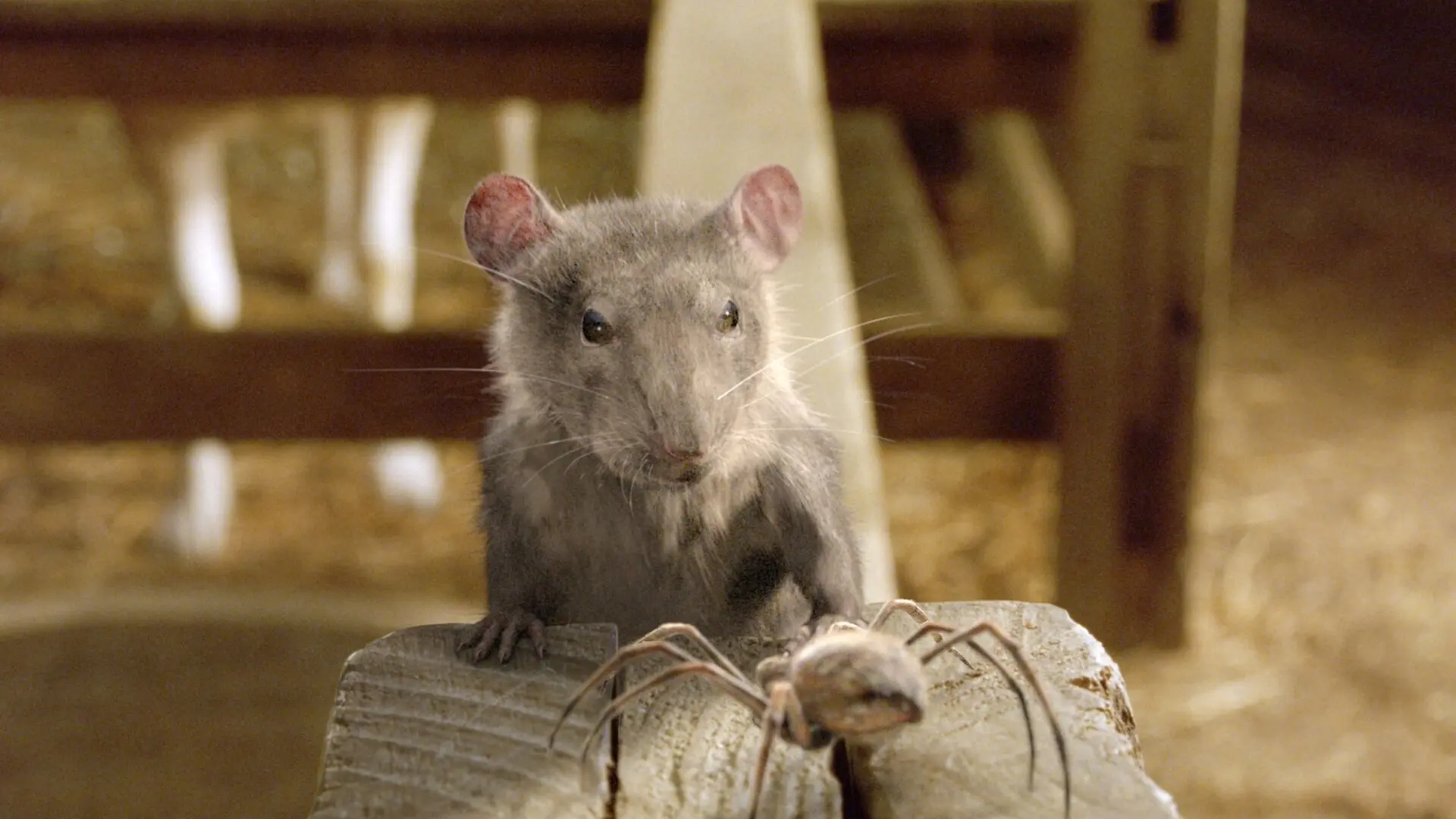 Schweinchen Wilbur und seine Freunde
