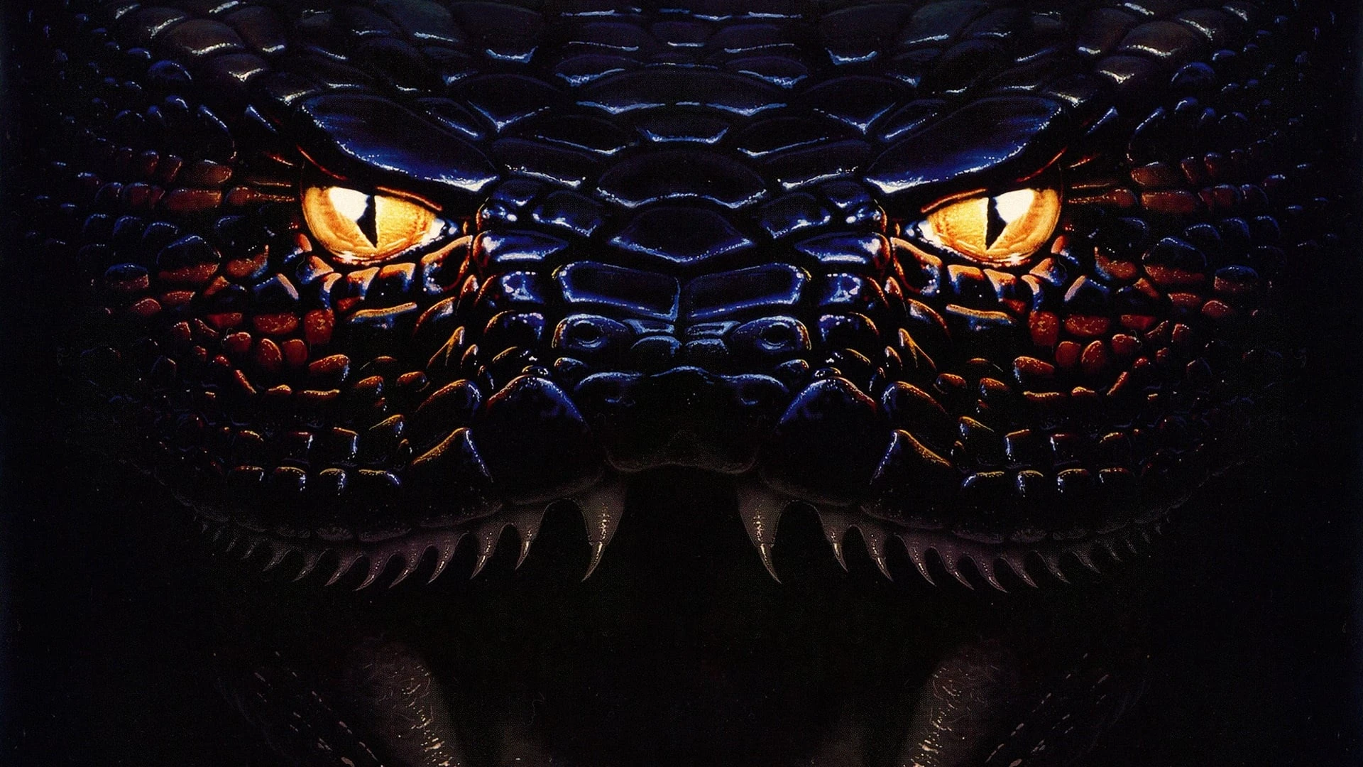 Anaconda