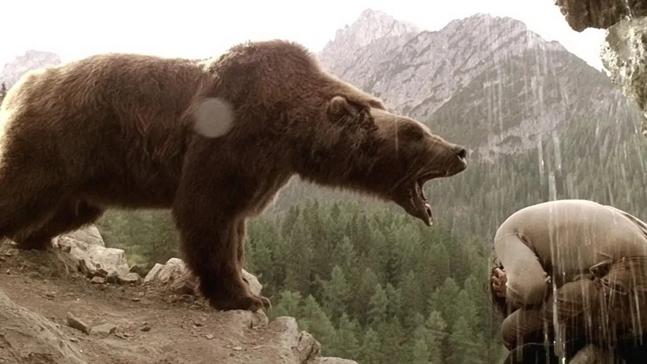 Der Bär