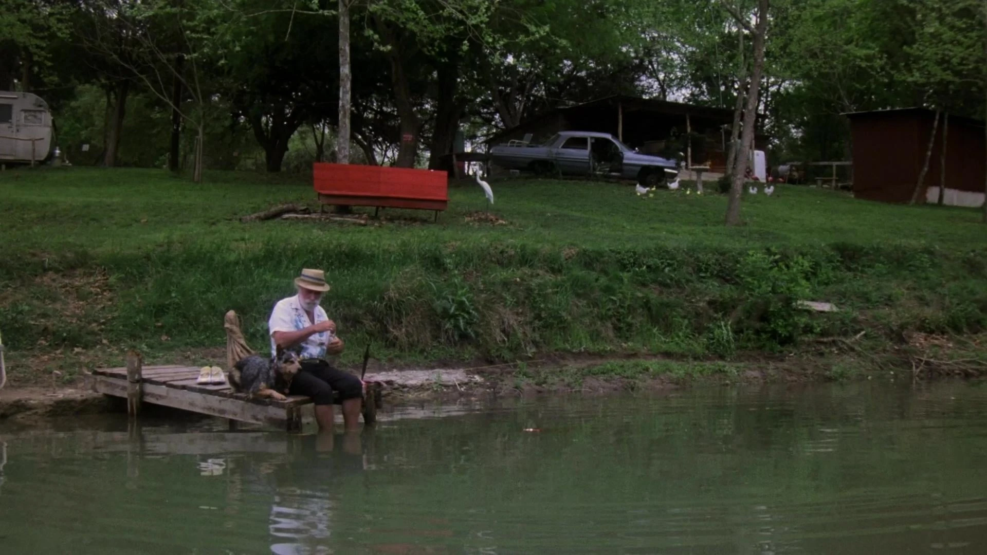 Piranhas