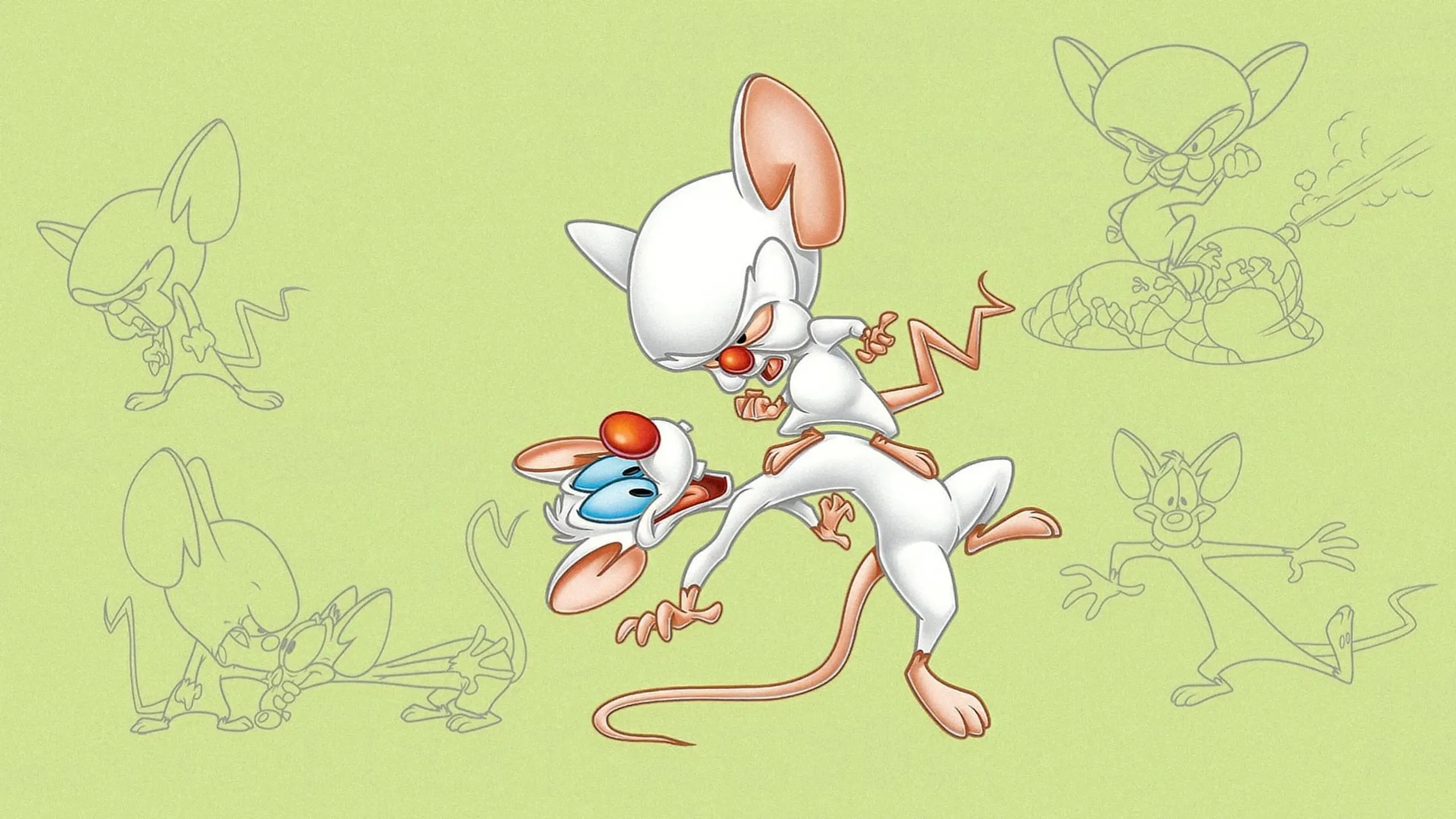 Pinky & der Brain