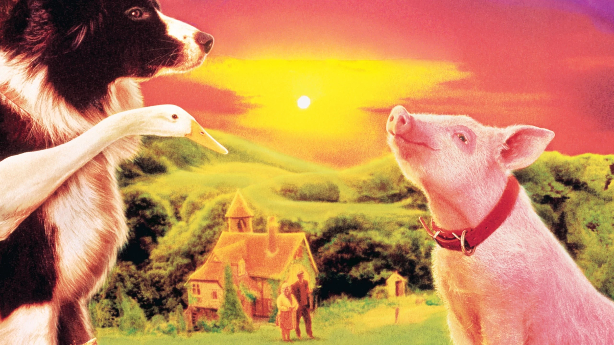 Ein Schweinchen namens Babe