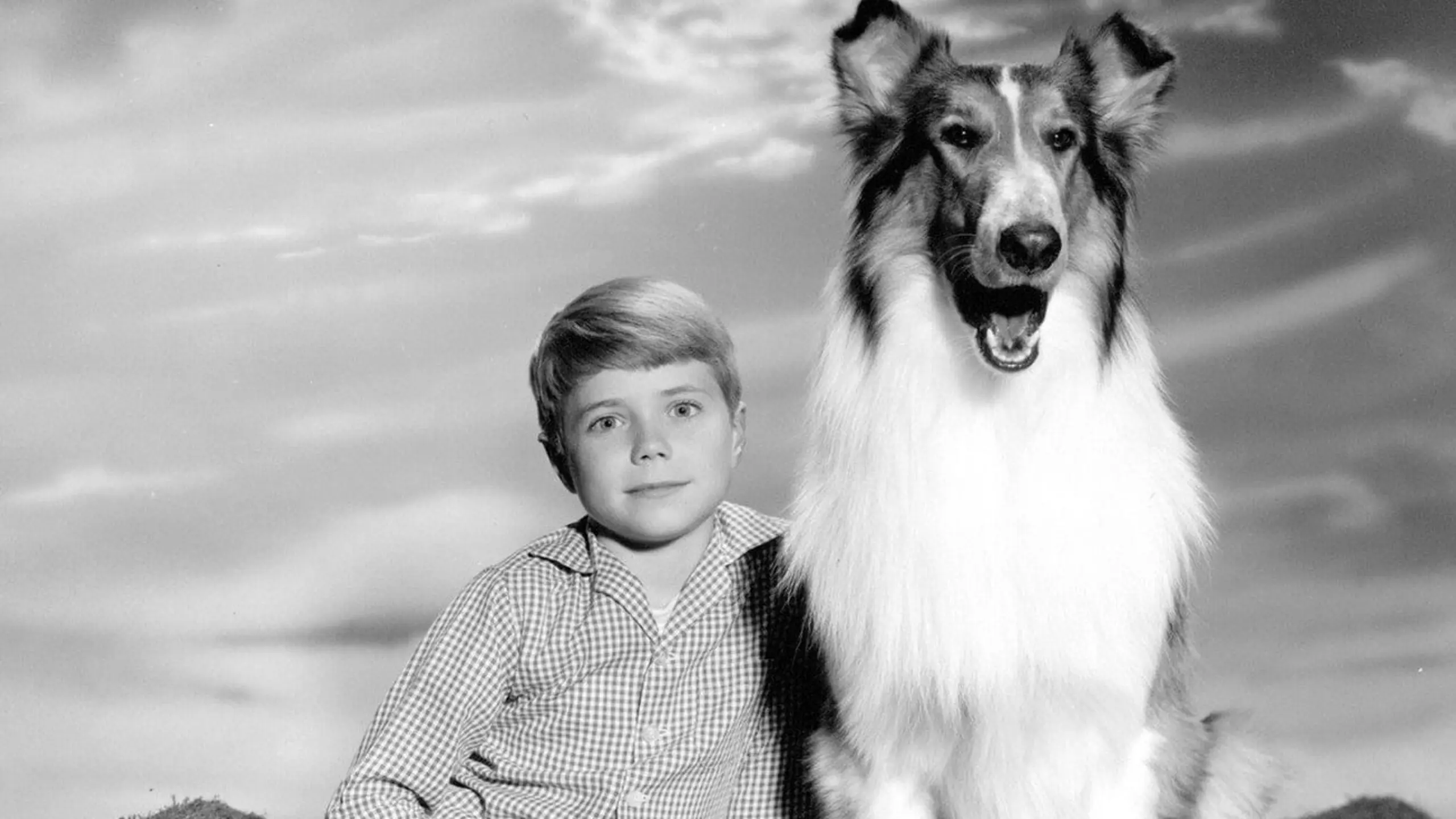 Lassie