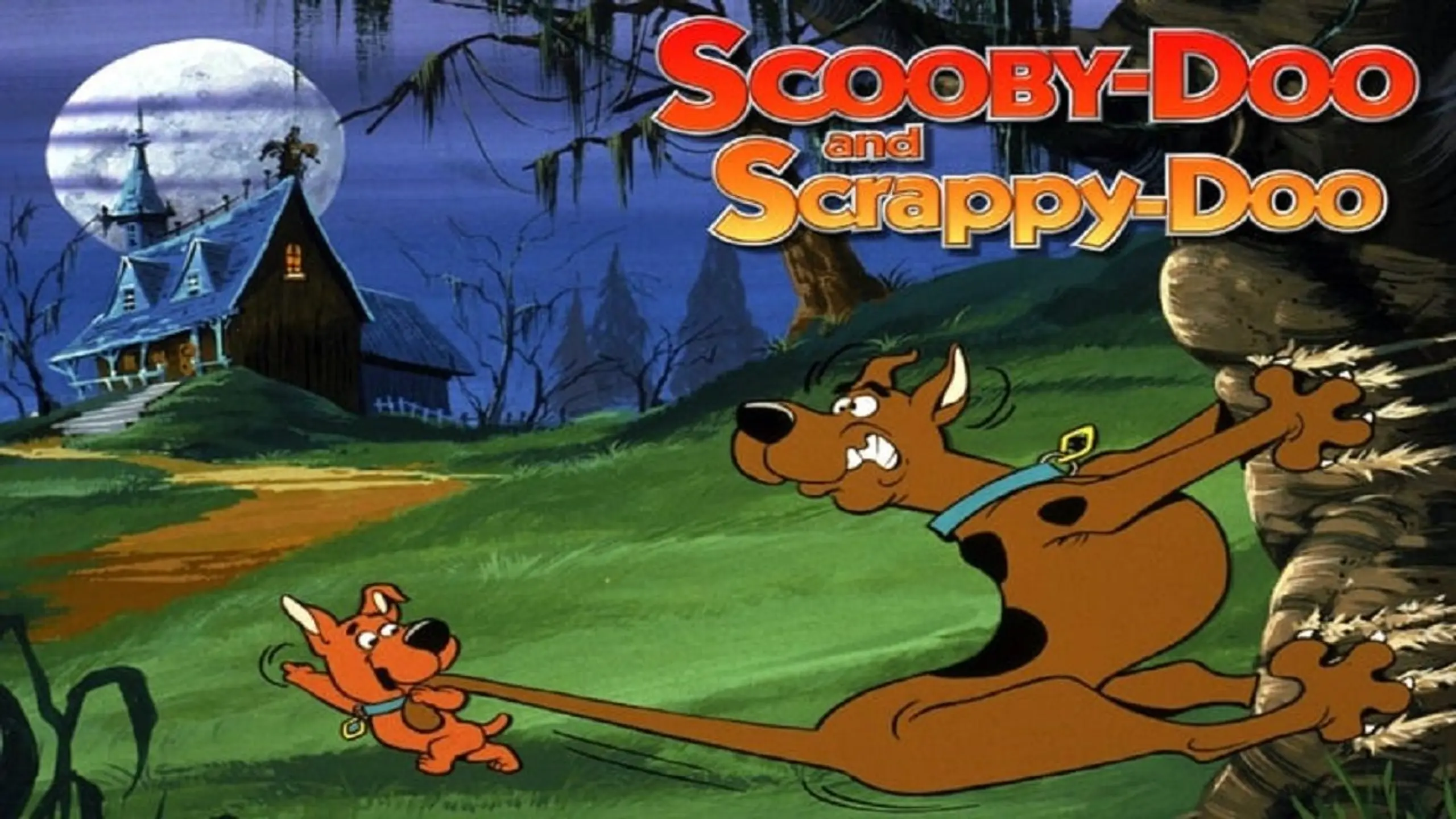 The New Scooby and Scrappy-Doo Show