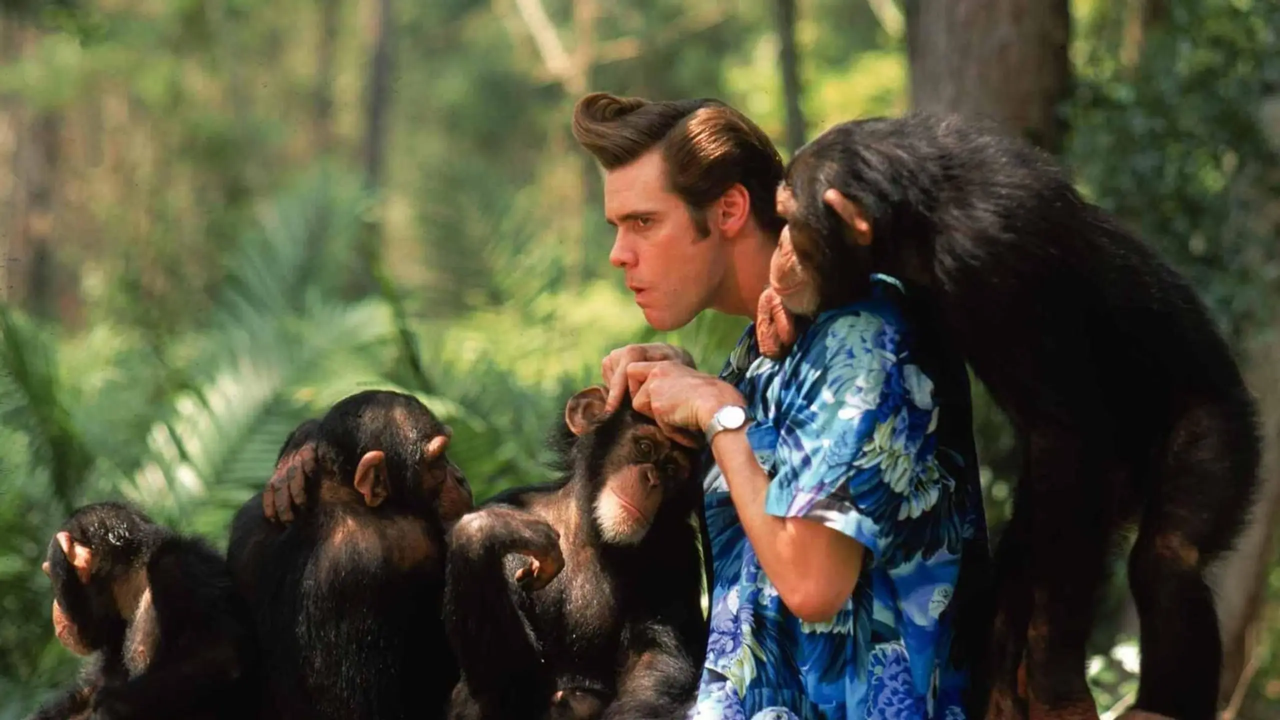 Ace Ventura - Jetzt wird's wild