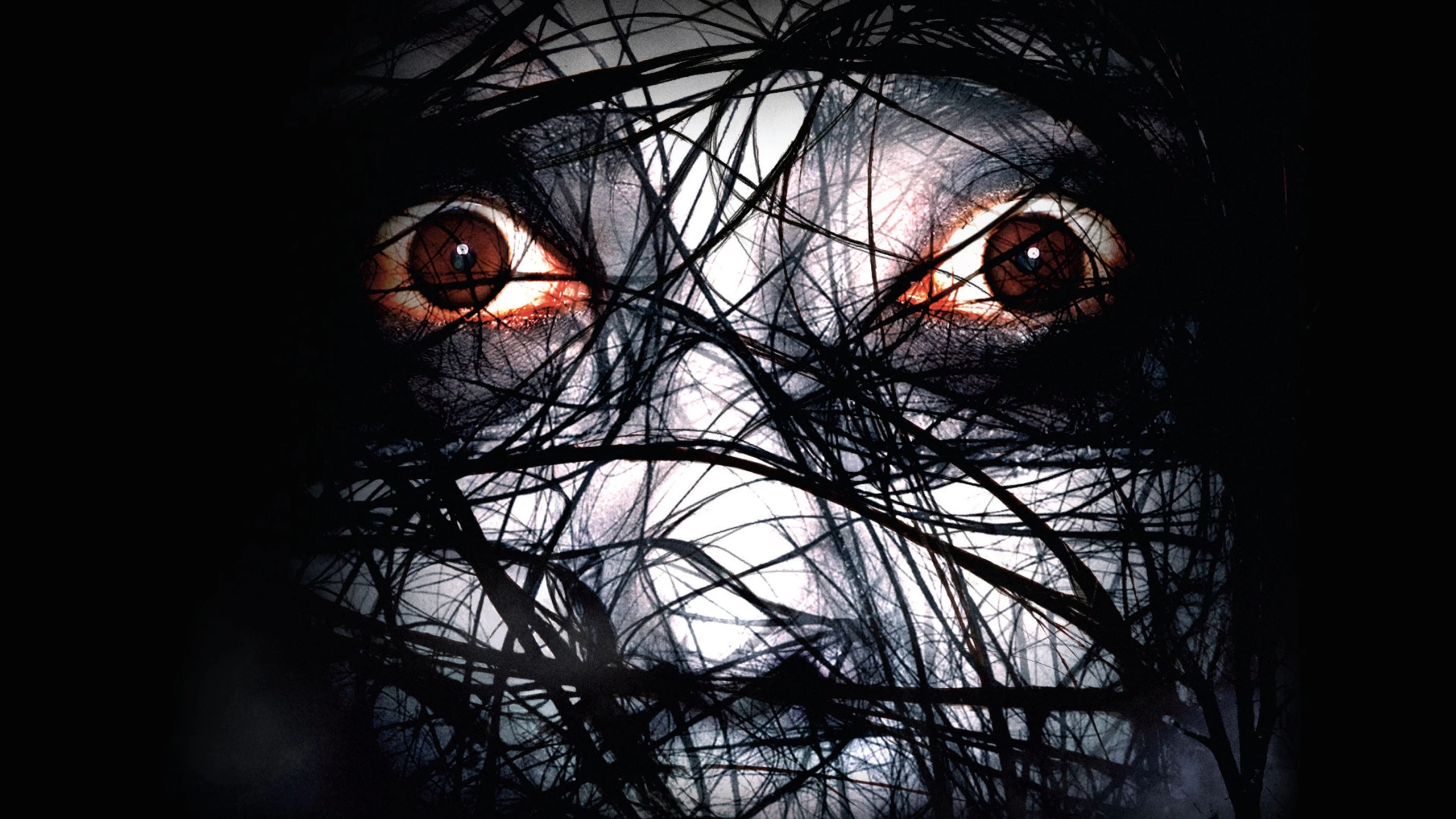 Der Fluch - The Grudge 2