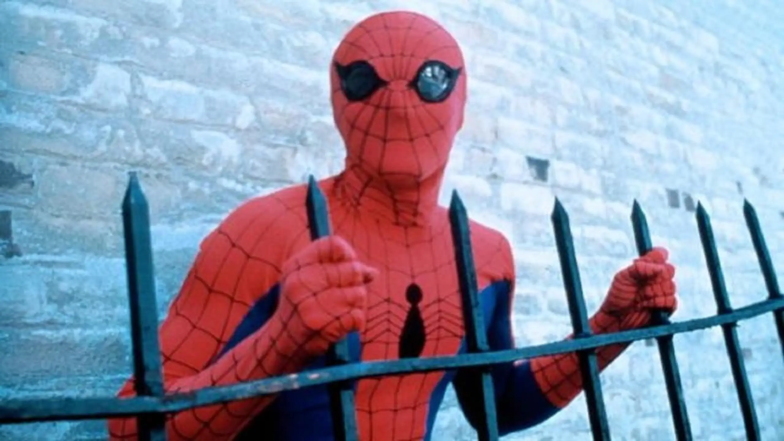 Spider-Man - Der Spinnenmensch