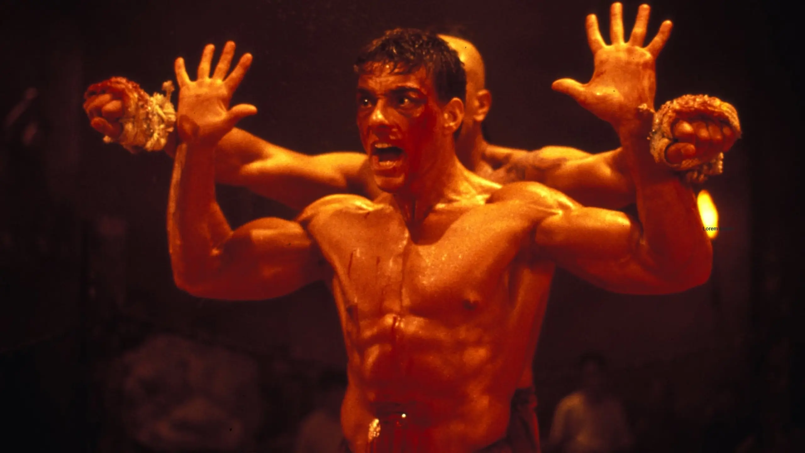 Der Kickboxer