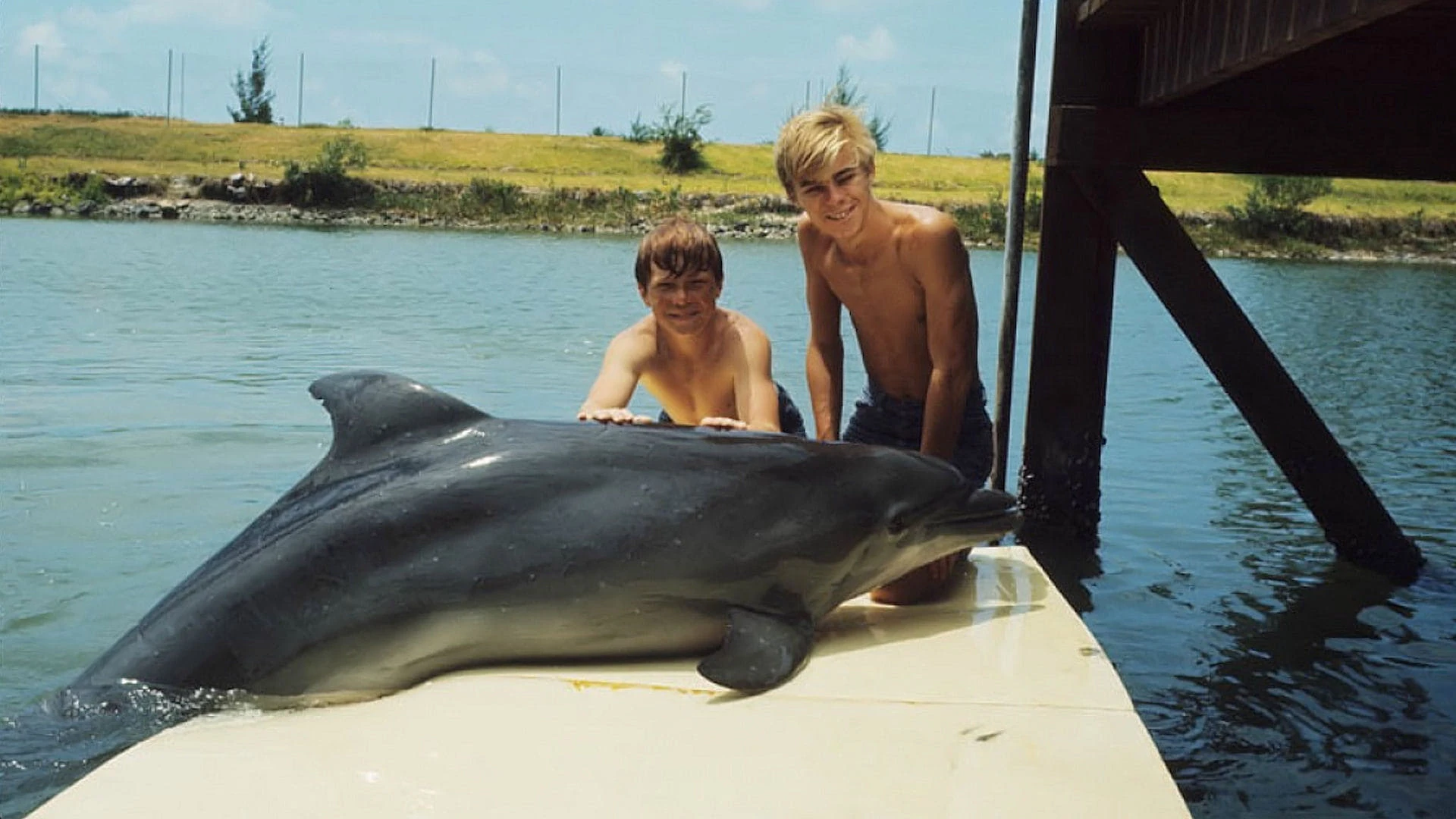 Flipper