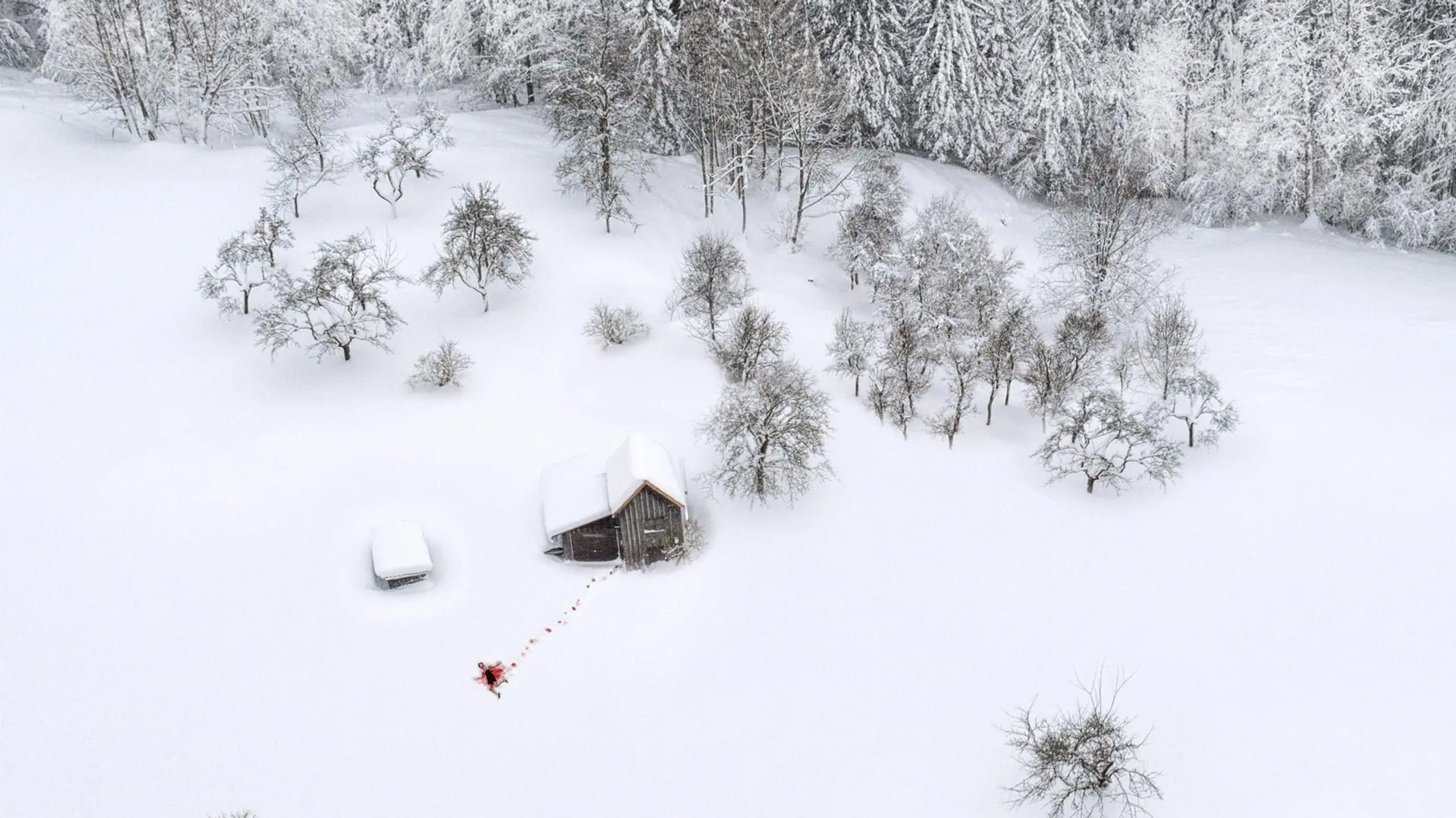 Arctic Circle - Der unsichtbare Tod